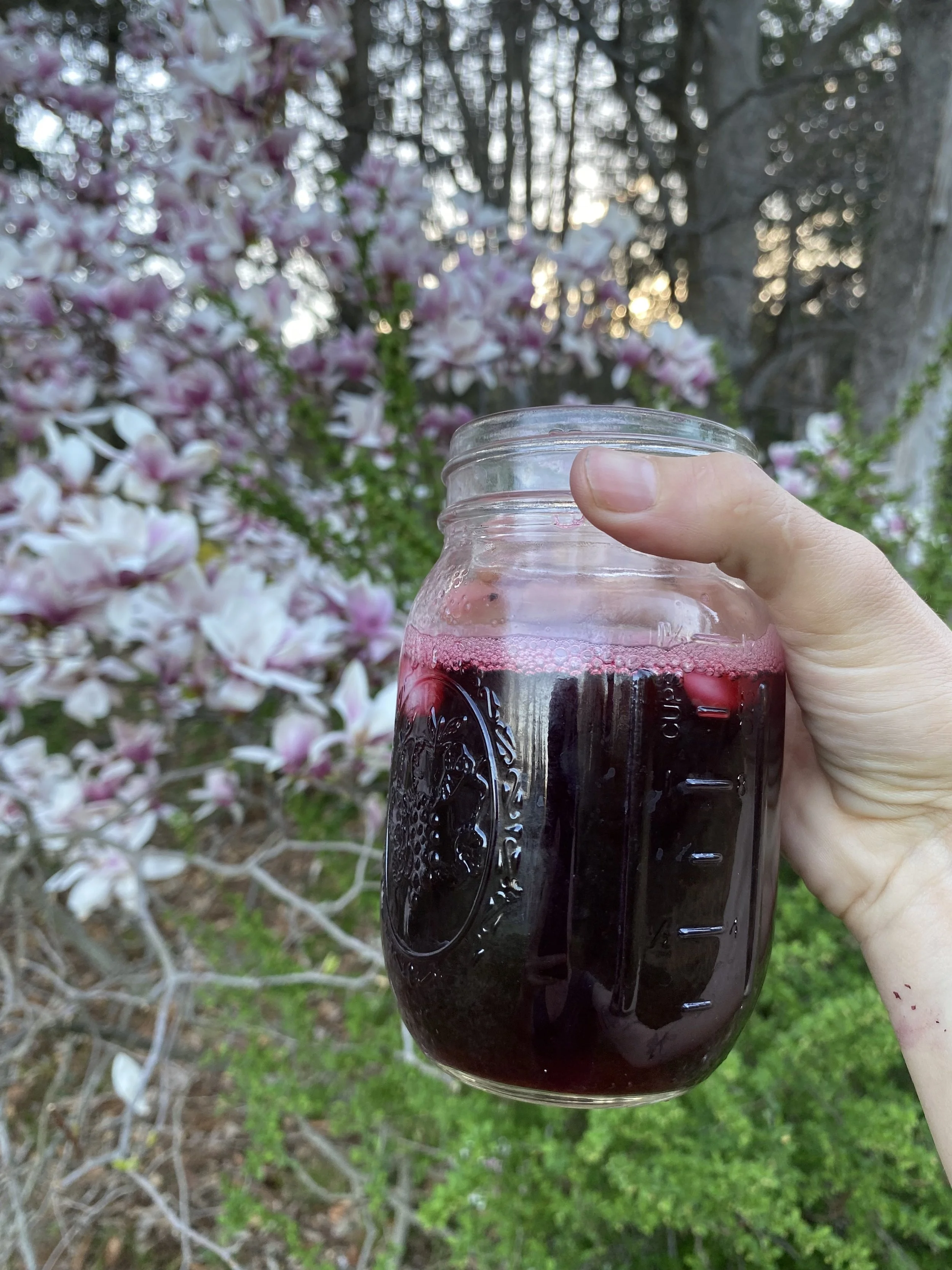 Spring Beauties: Violet, Lilac and Magnolia Medicine, $75