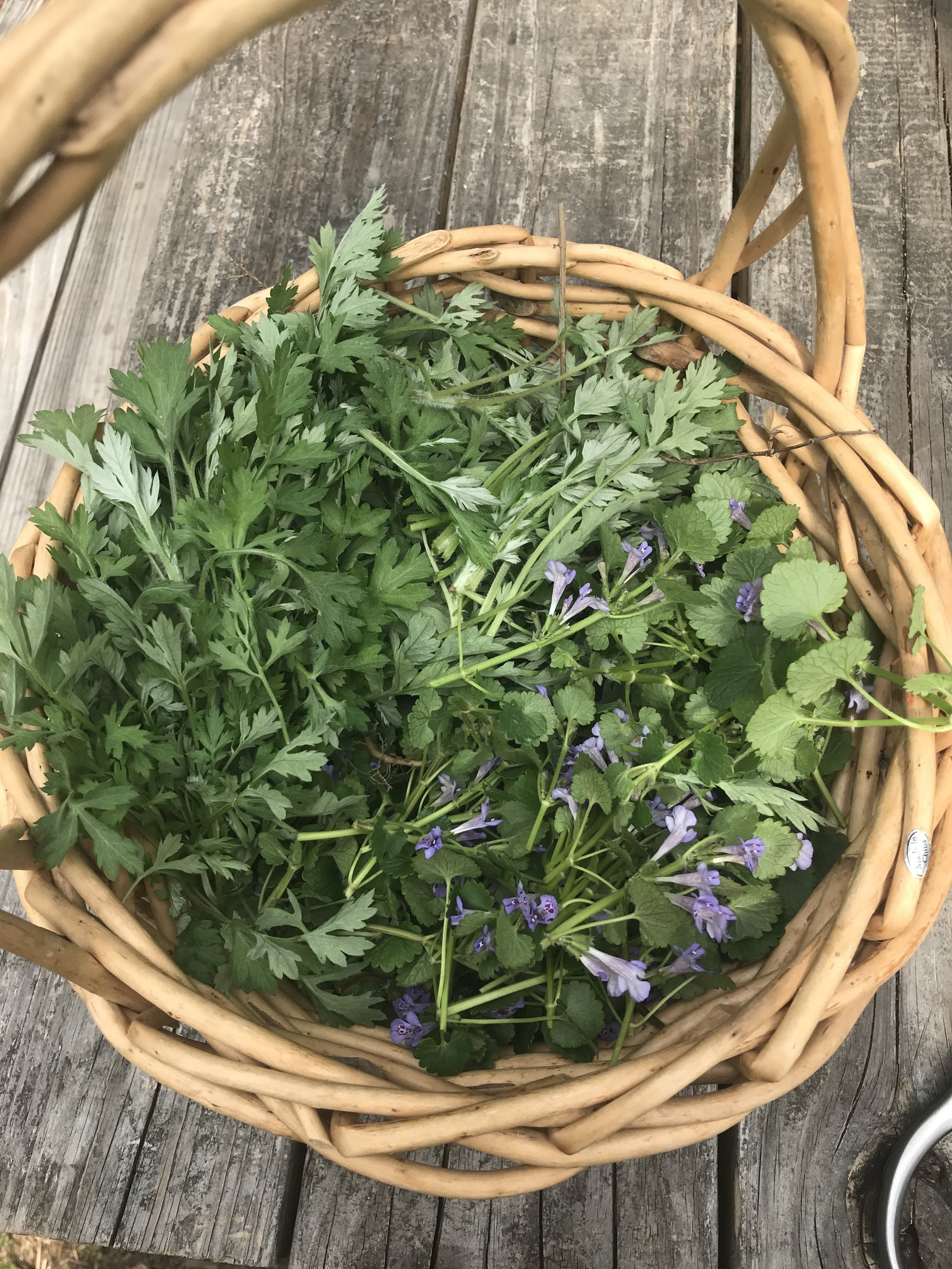 Herbal Medicine 101: Spring Tonics and Bitters at AOOA