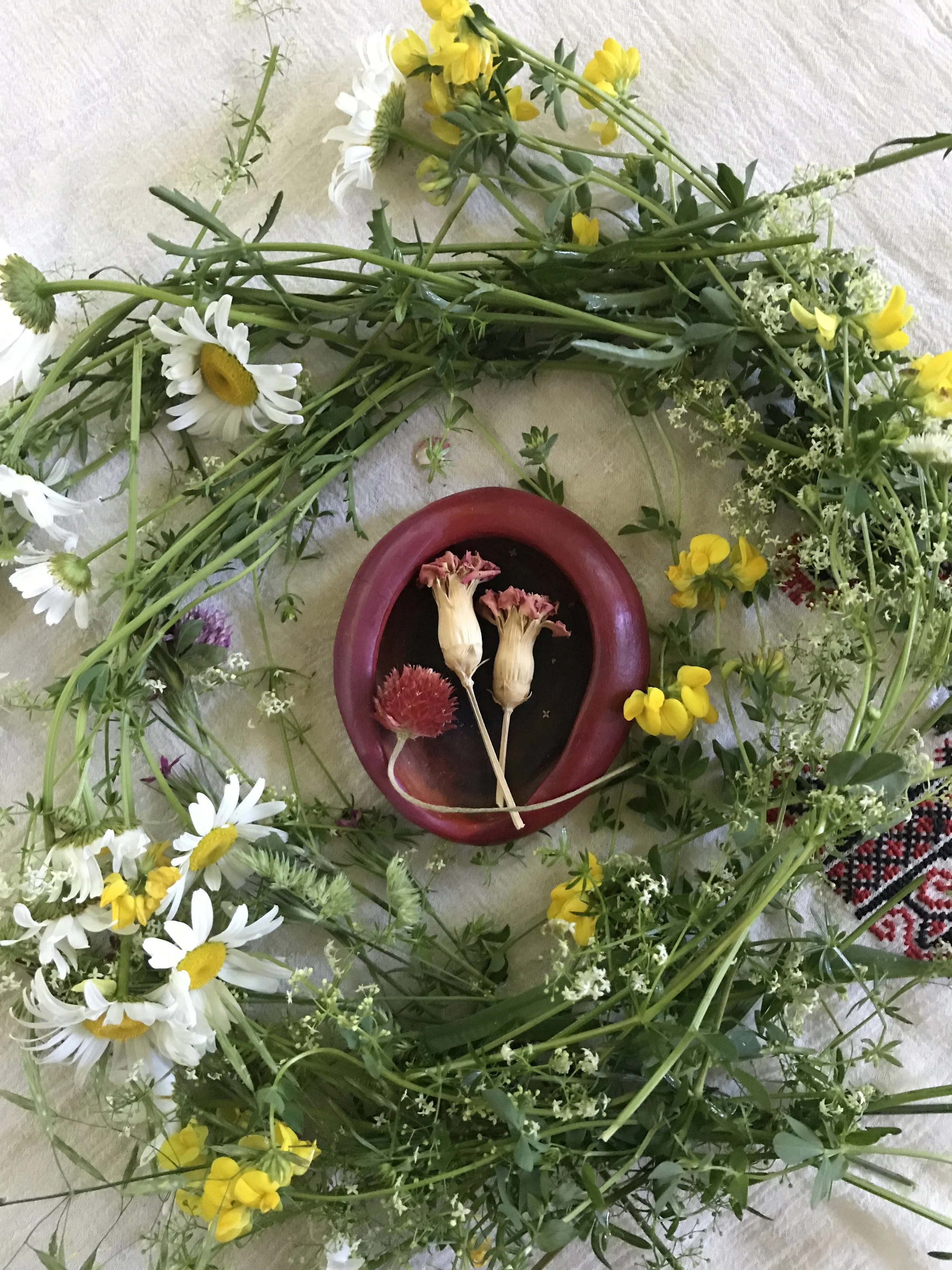 Herbs for Women's Health, $45