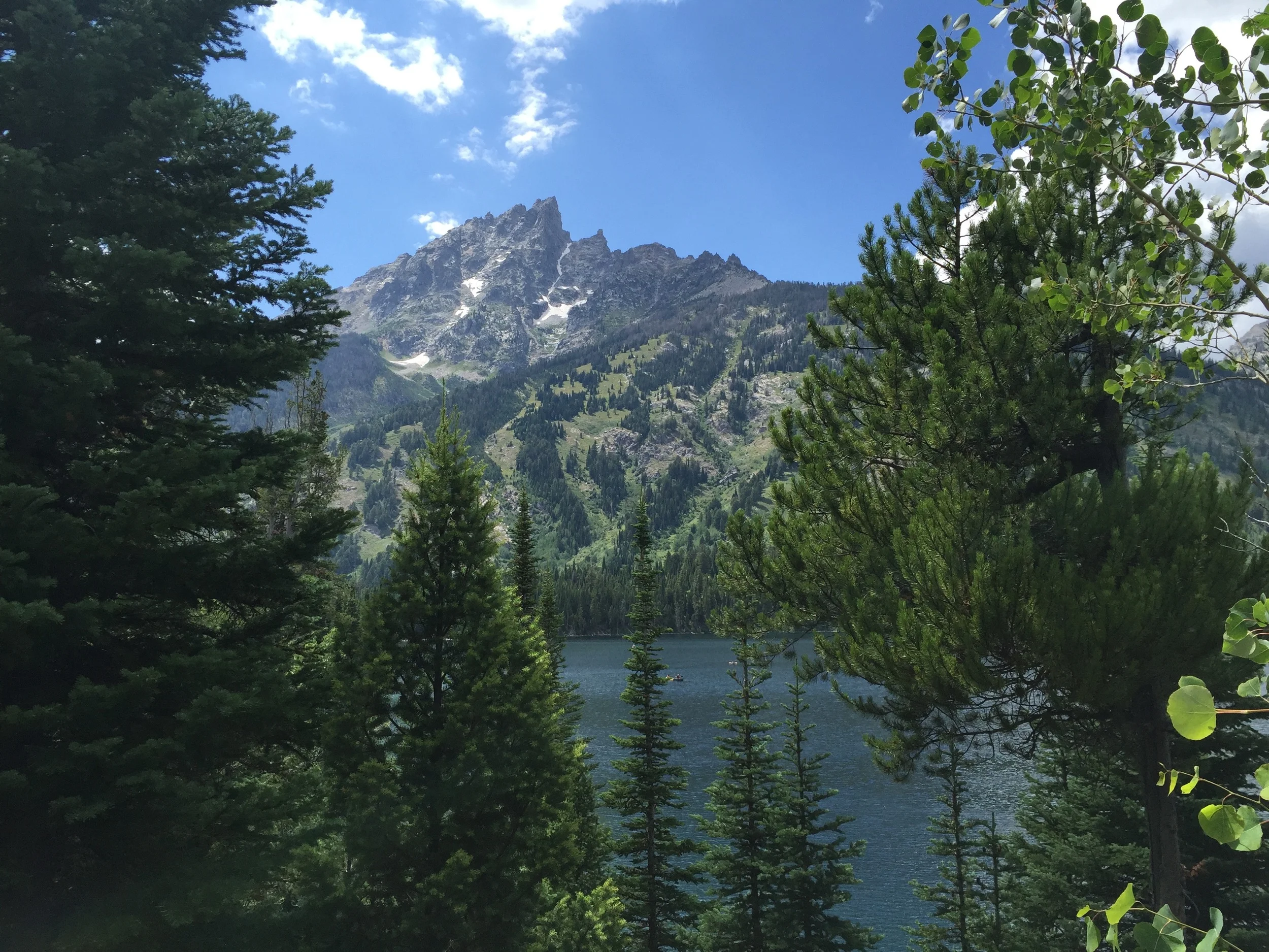 Jackson Hole - 002.jpg