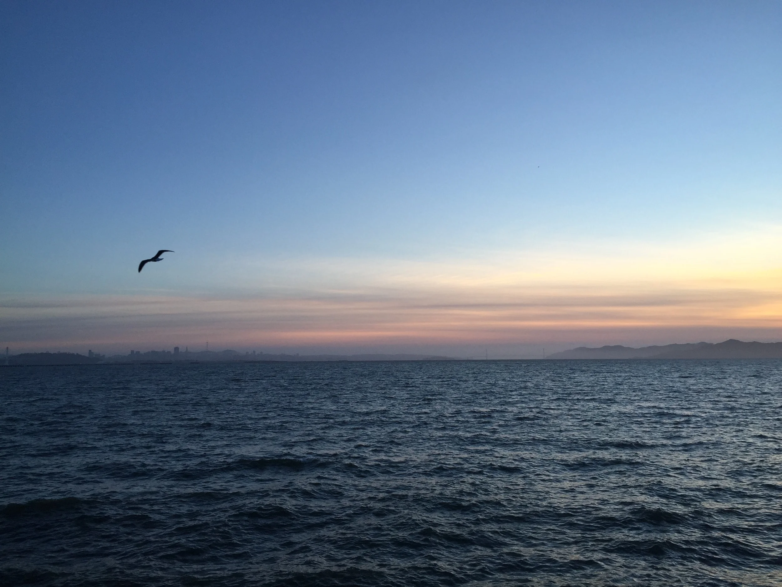SF - 006.jpg