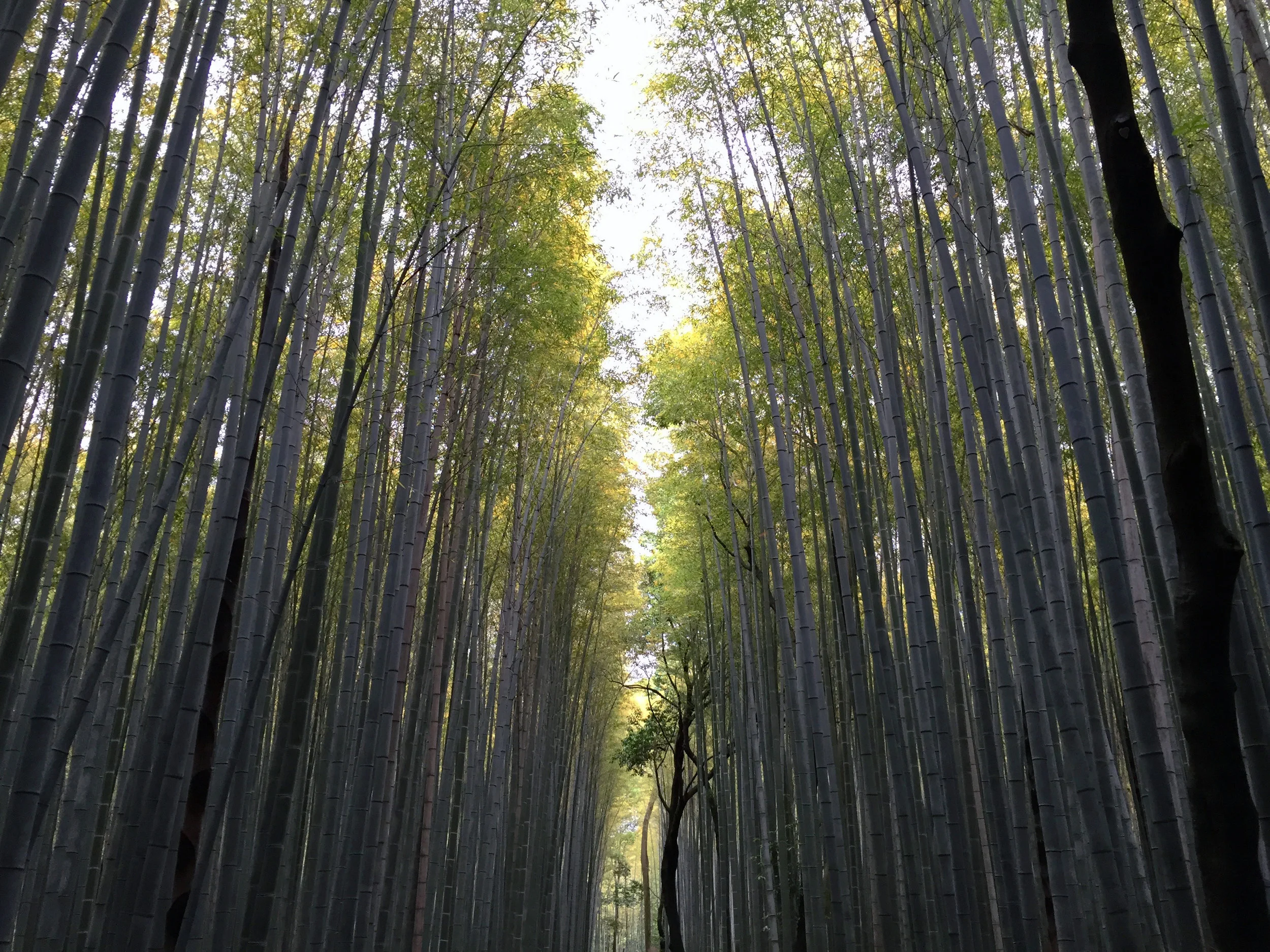 Kyoto