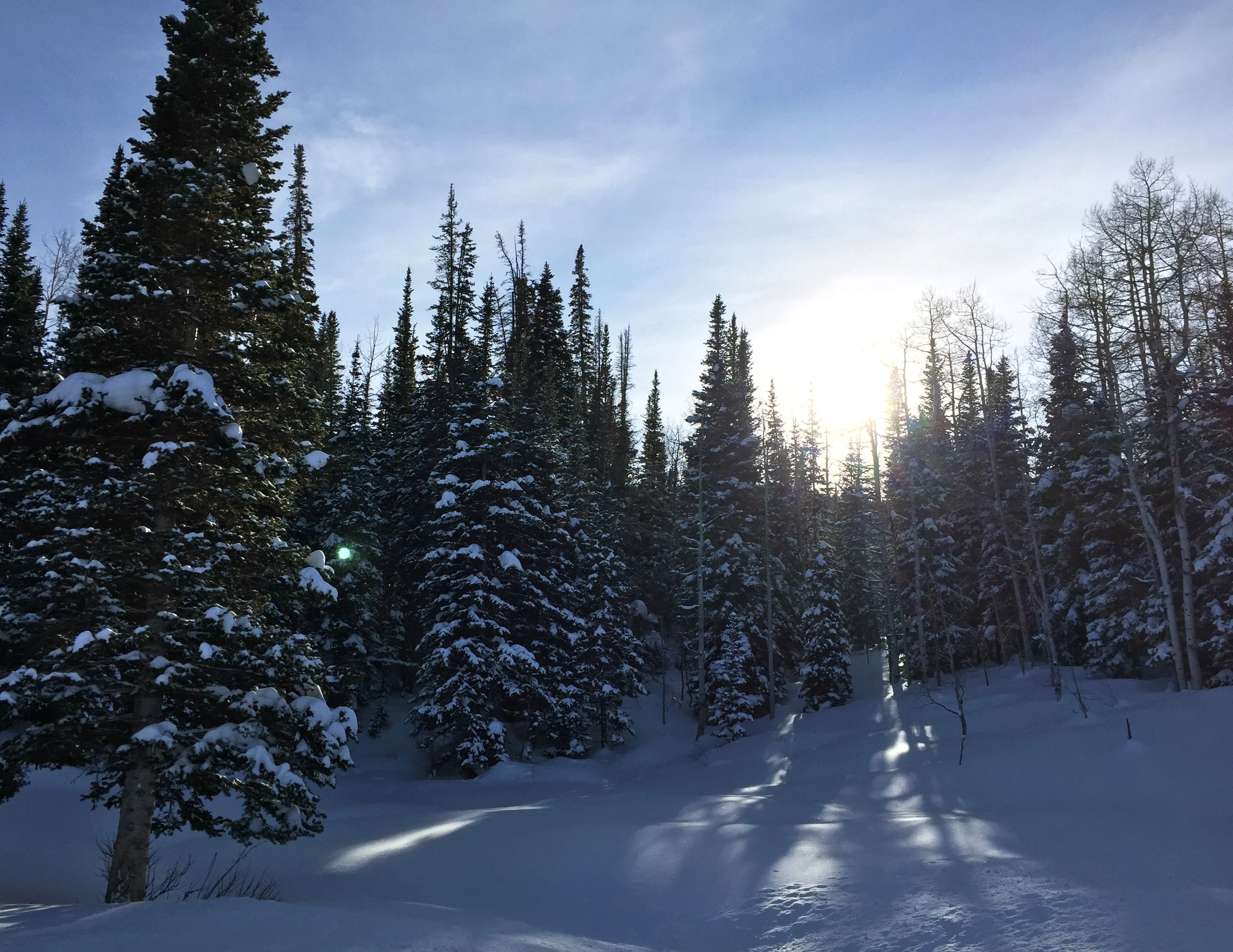 Park City