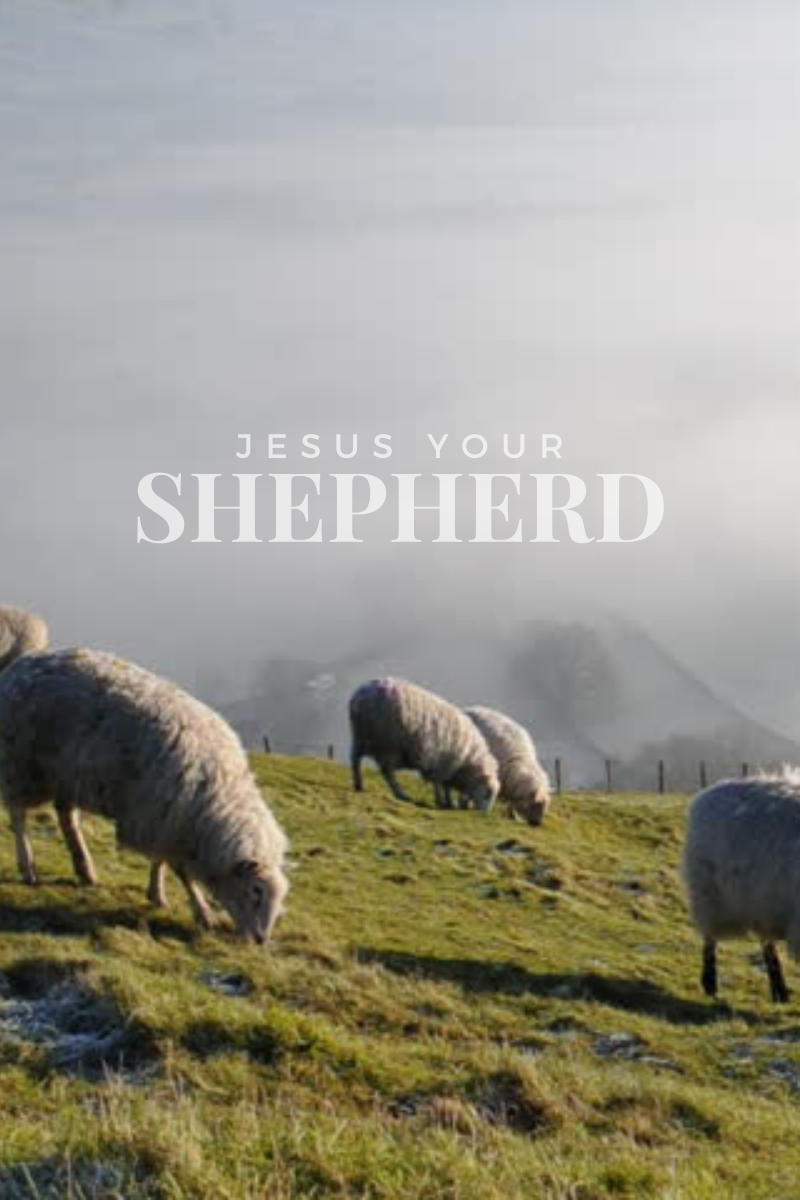 Jesus Your Shepherd
