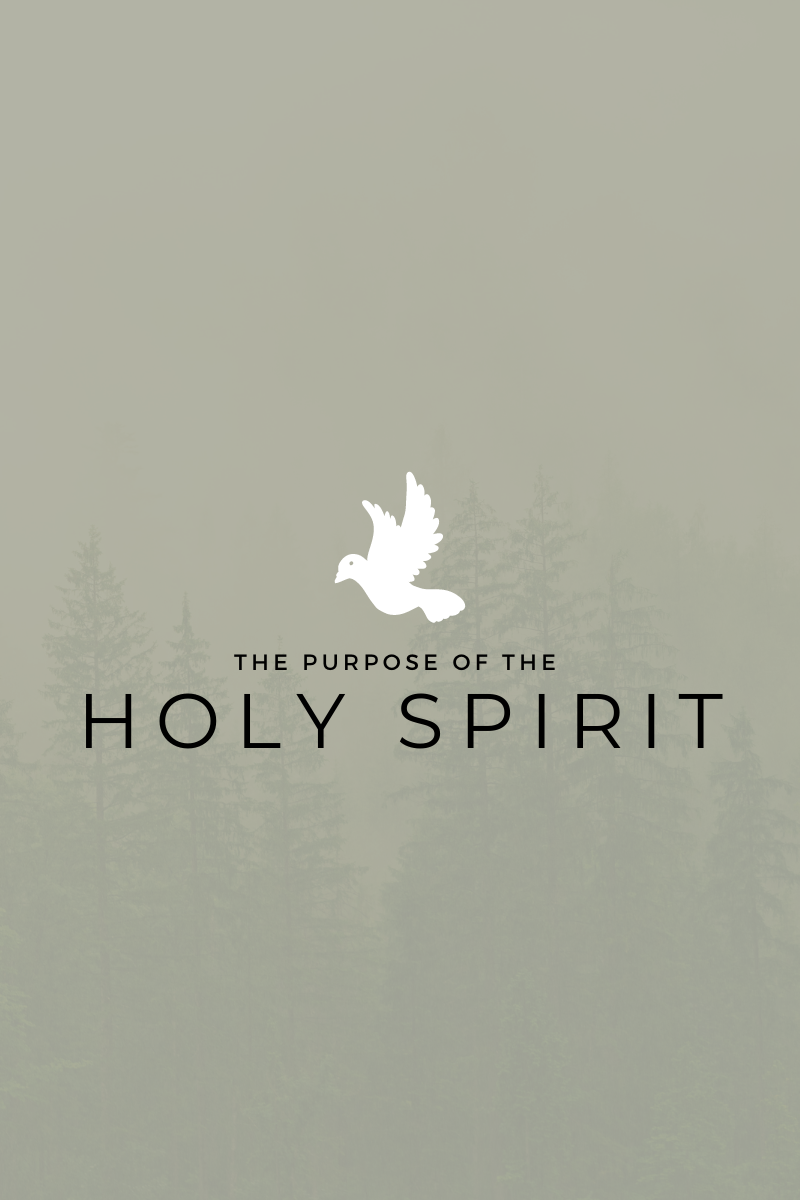 The Purpose of the Holy Spirit