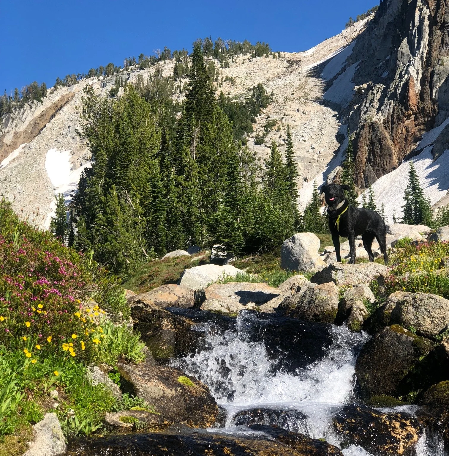 backpacking.jpg