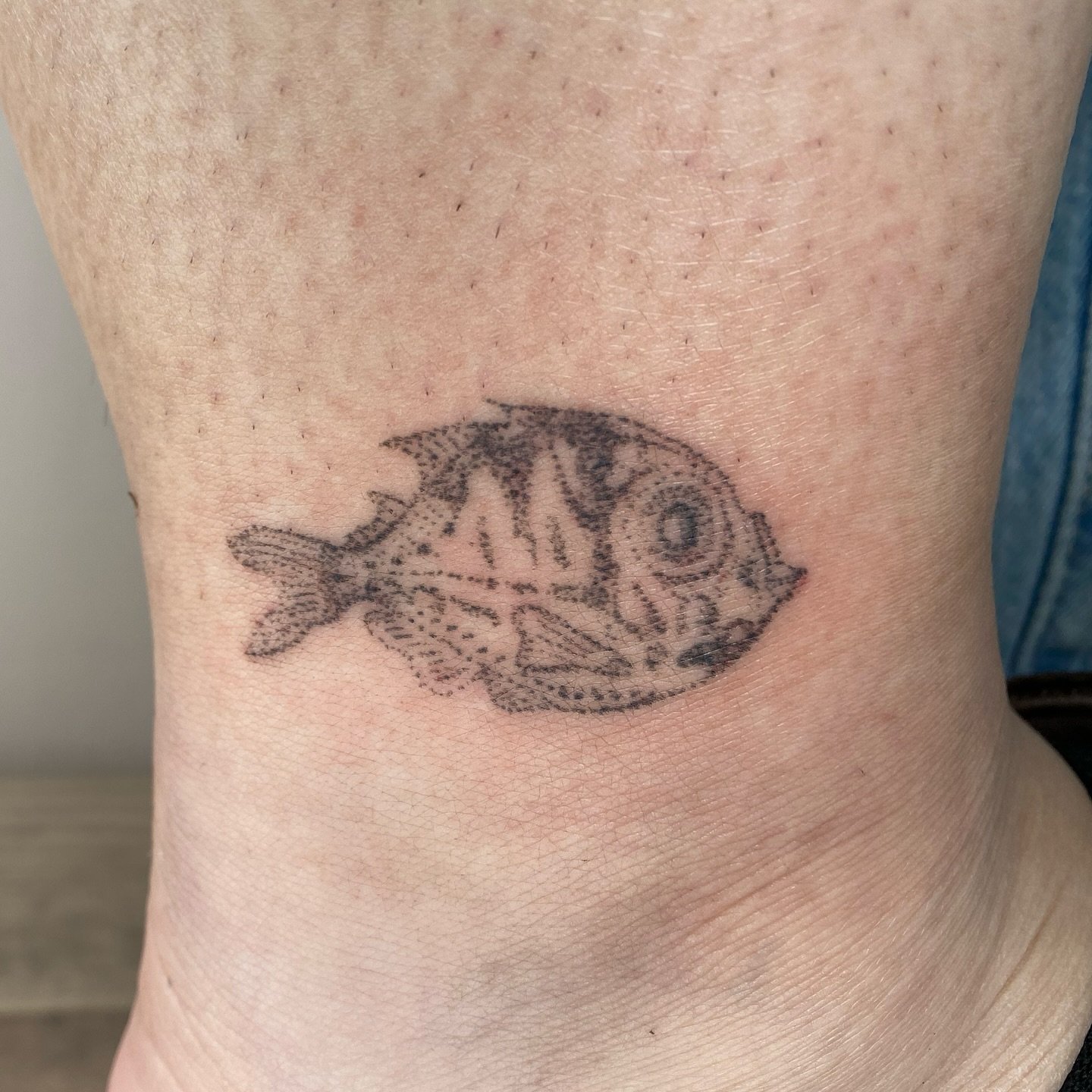 Hatchet fish for a marine biologist!! Thank you ness!! I hope you see lots of these little dudes on your excursions!! 🐠🛥️ handpoked at @starkissedla as part of my flash weekend! 💫
