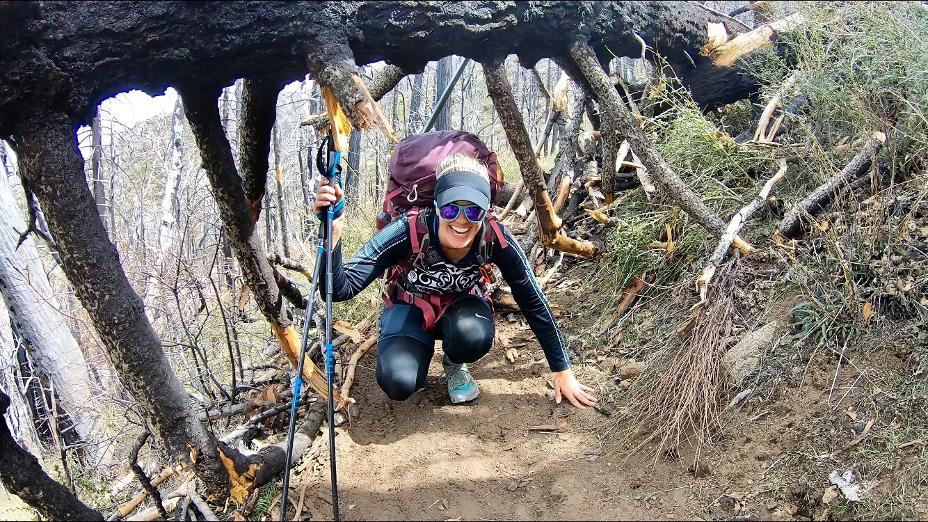 I Guess This Is Me Now...