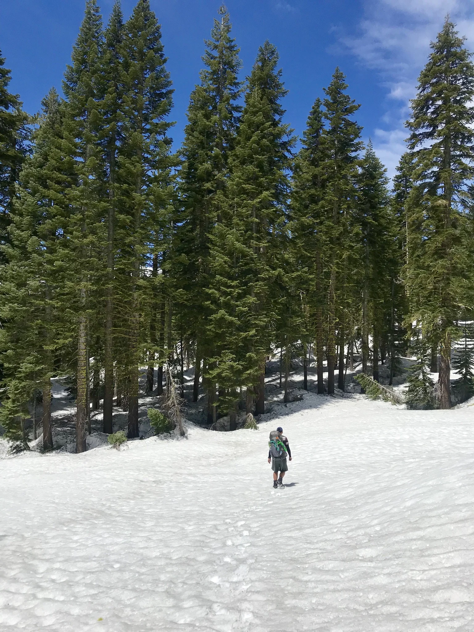 How Would Snoop Dog Hike?