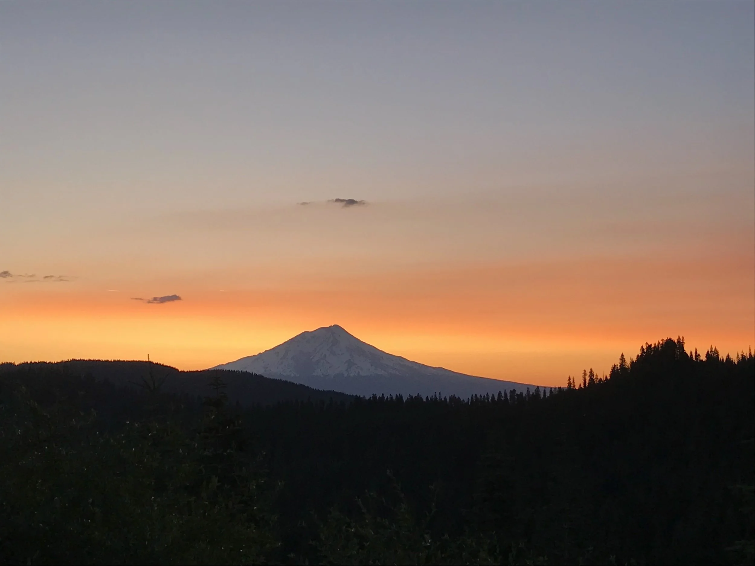 523781C9-2F00-49CA-A13A-8713061C86A3.jpeg