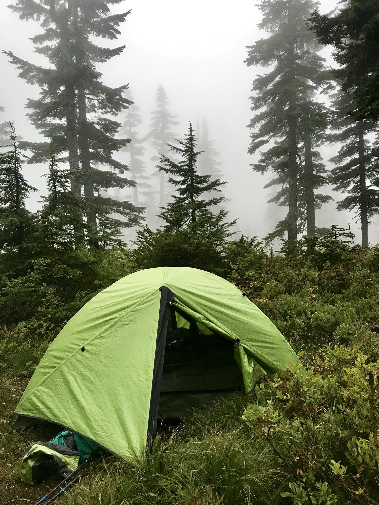 Sunshine, Rain, Fog.  Repeat.