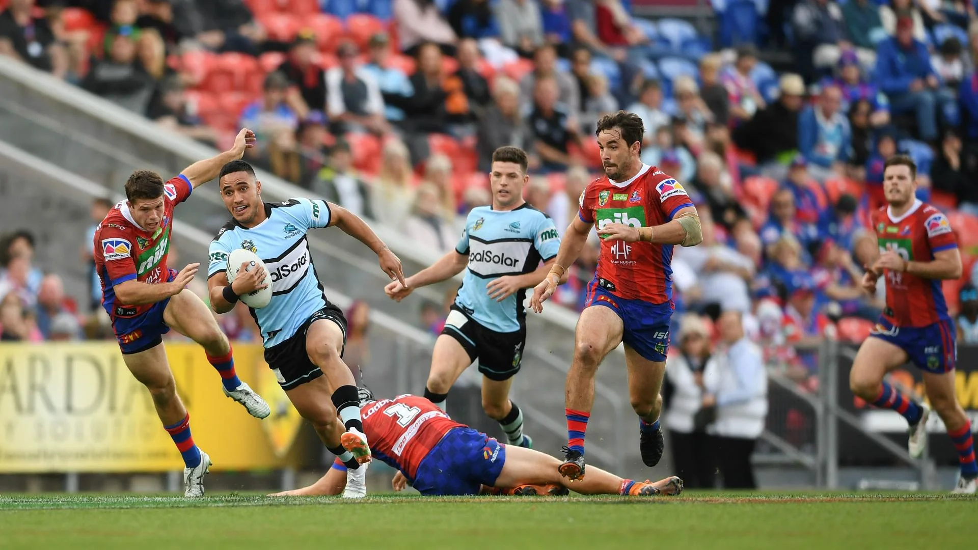 NRL Round 24 Podcast - Sharks v Knights @ Shark Park 