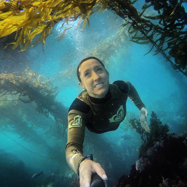 Free diving in the kelp forests in Monterey, California 