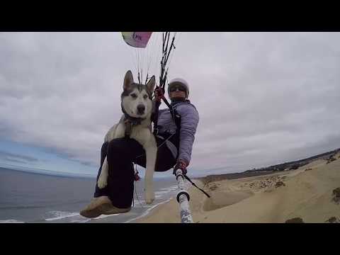 Flying Raven Wolf - Fly like a girl