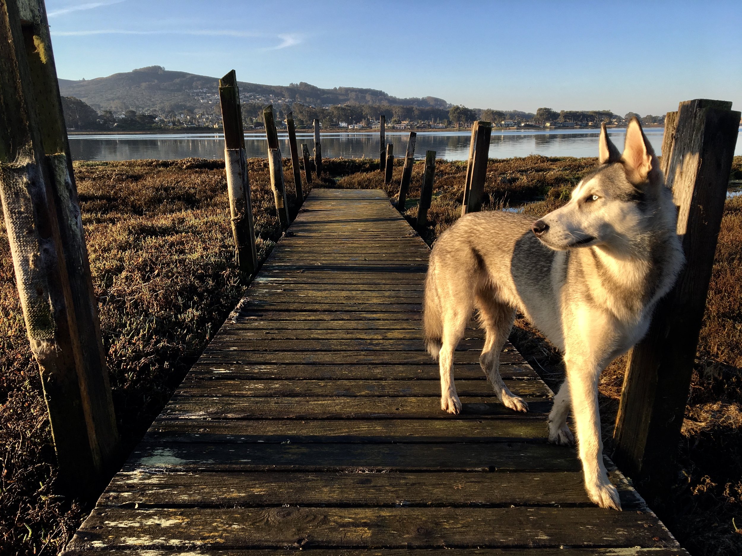 Morrow Bay - Los Osos