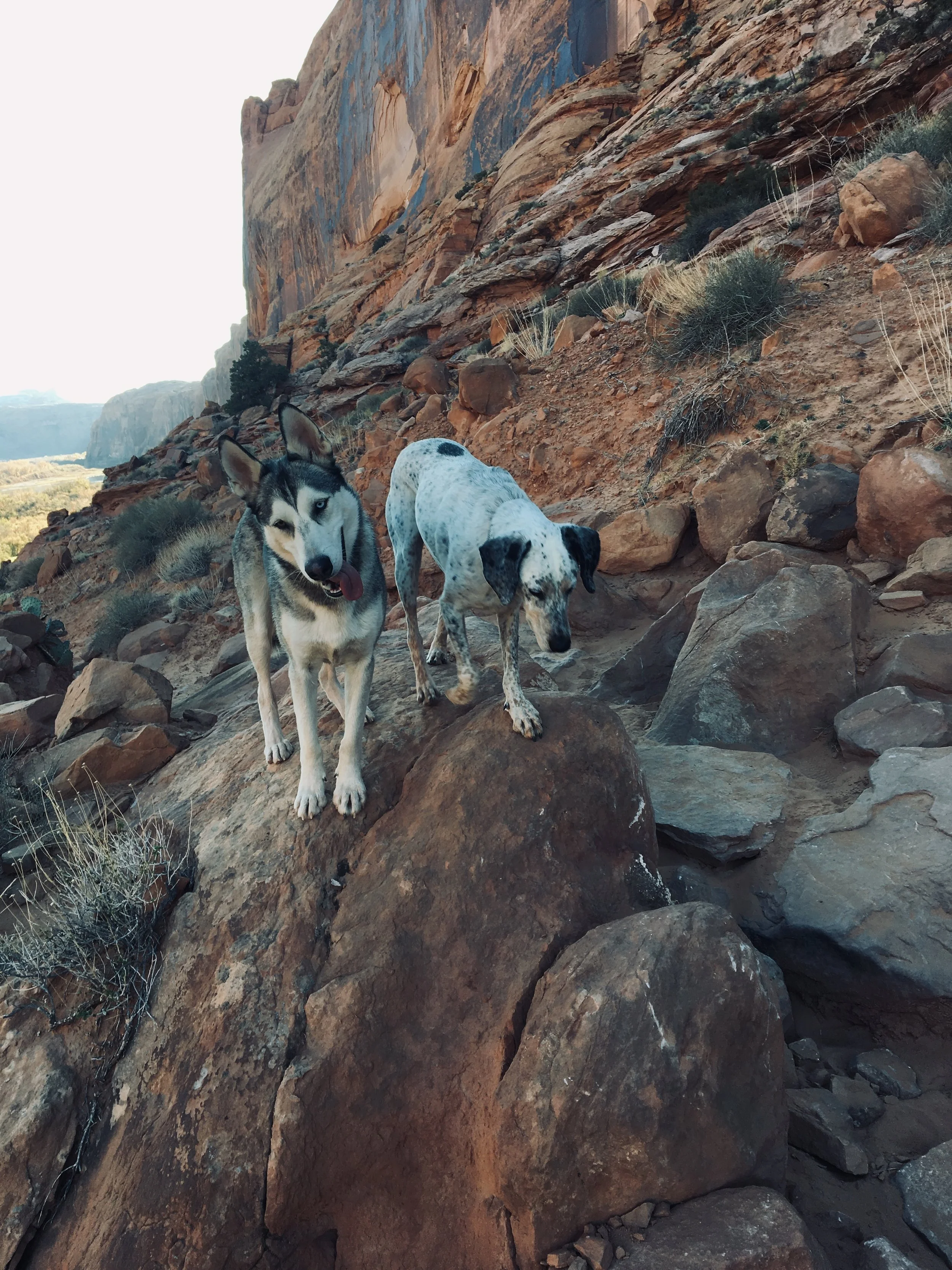 Roan and Pluto