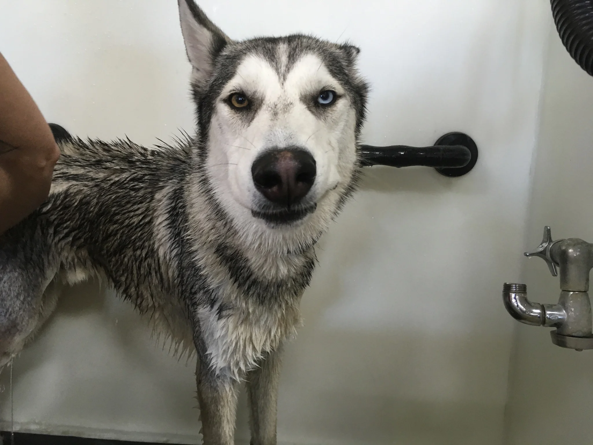 Bath Time, not impressed