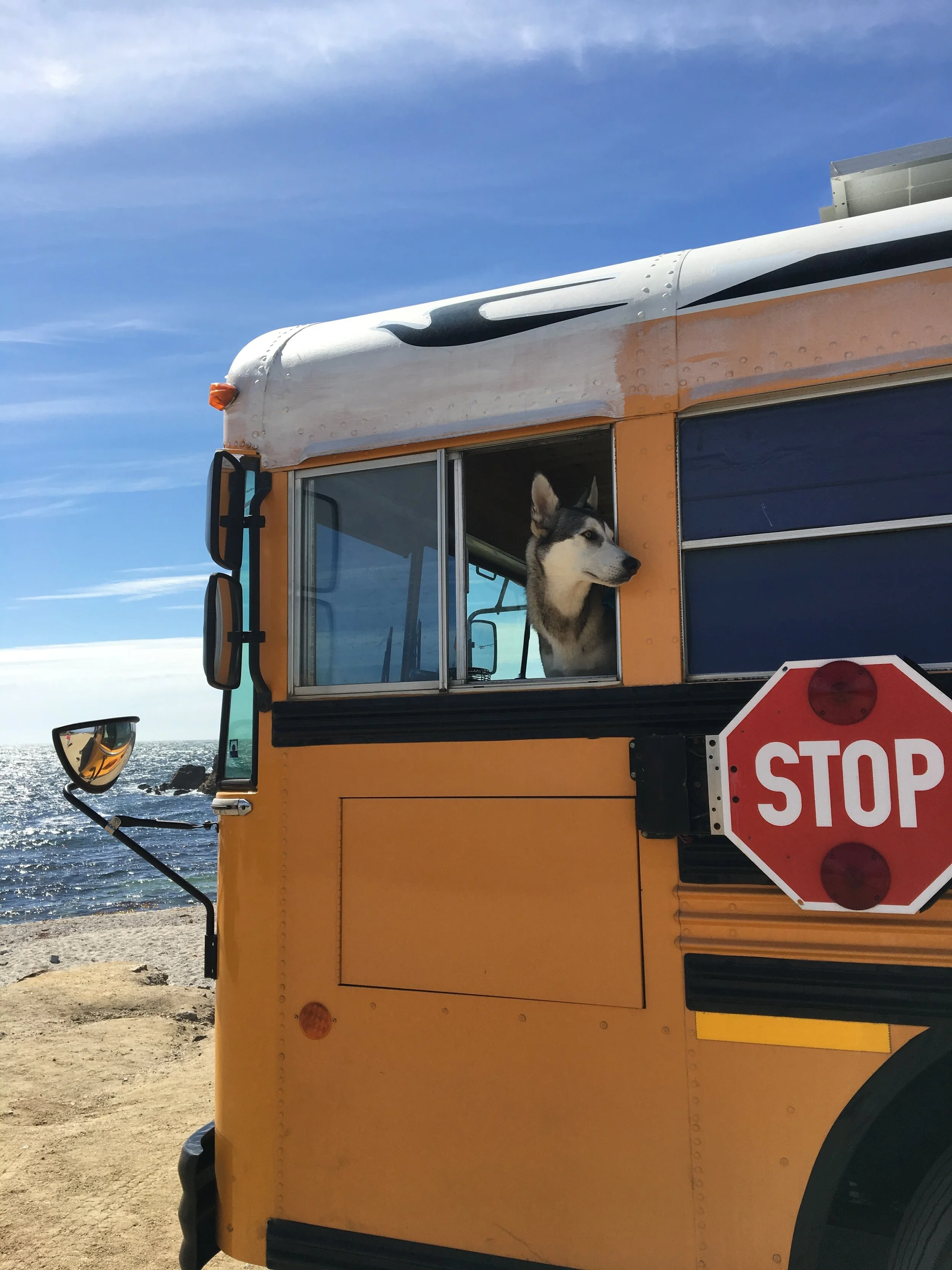 Life On a Bus by Roan Raven Wolf