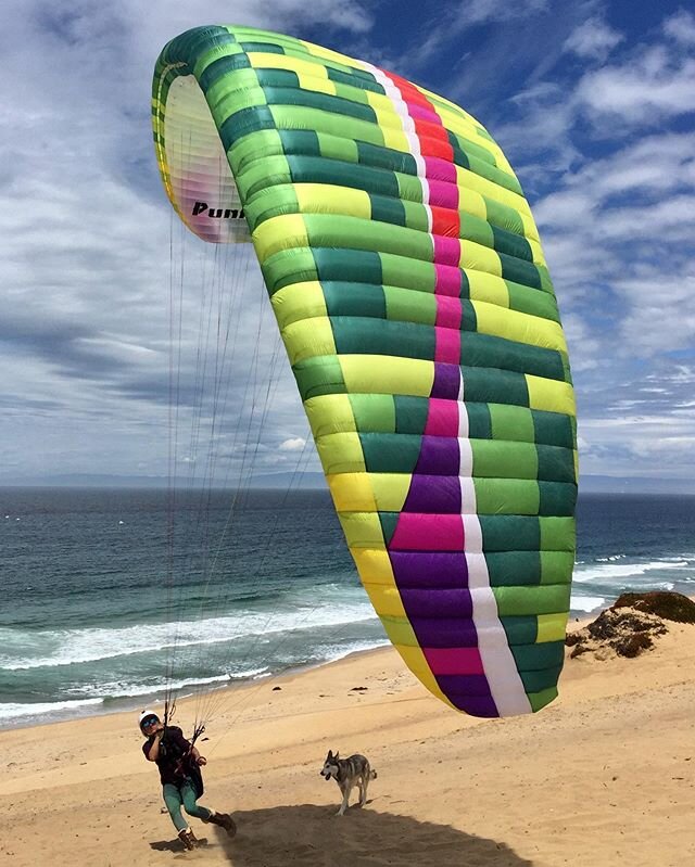 Dune gooning with the wolf
@ravenwolfskysports @flybgd #flylikeagirl #learntoparaglide #learntofly #flybgd #seemonterey #wolfdog #husky #paraglide