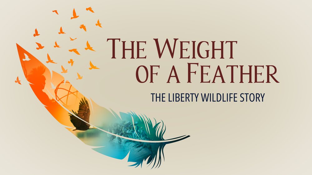 Gallery-The Weight of a Feather — Quantum Leap Productions