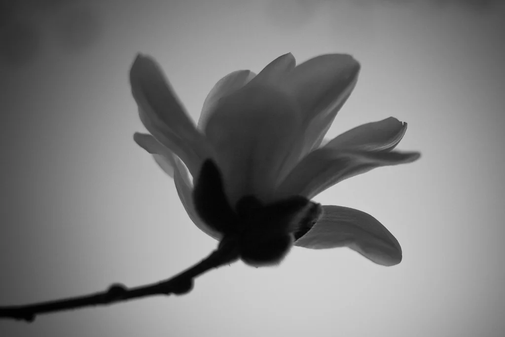 photography-1-15.jpg