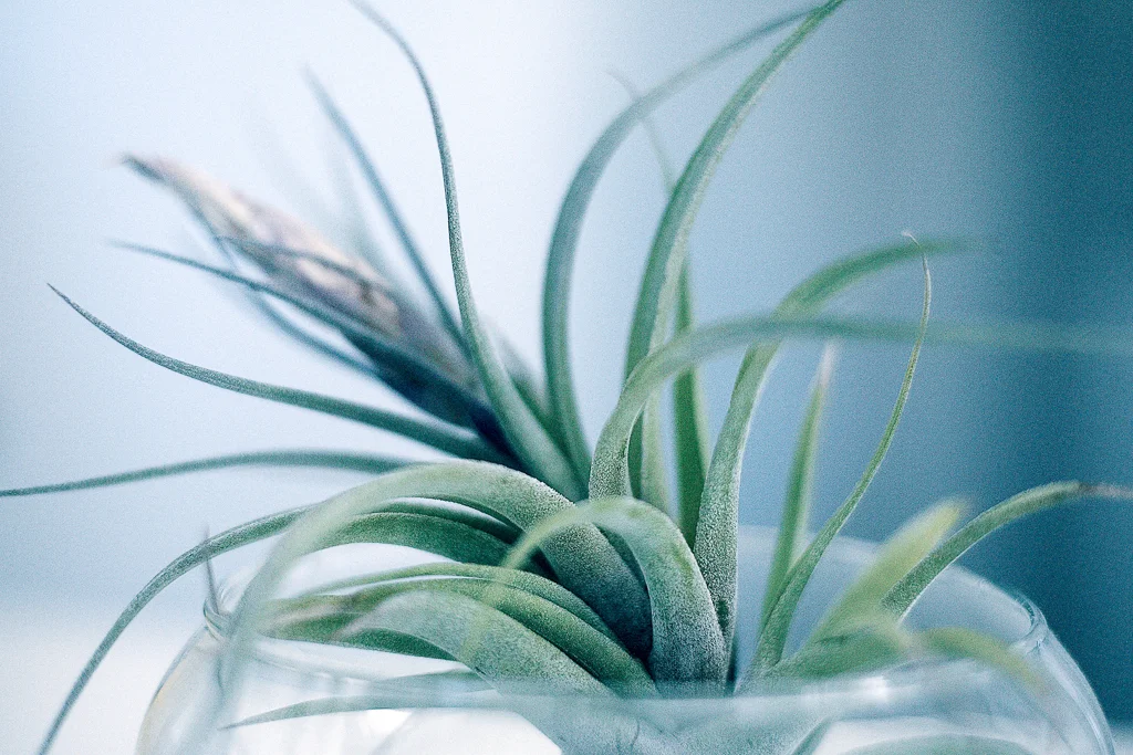 photography-1-23.jpg