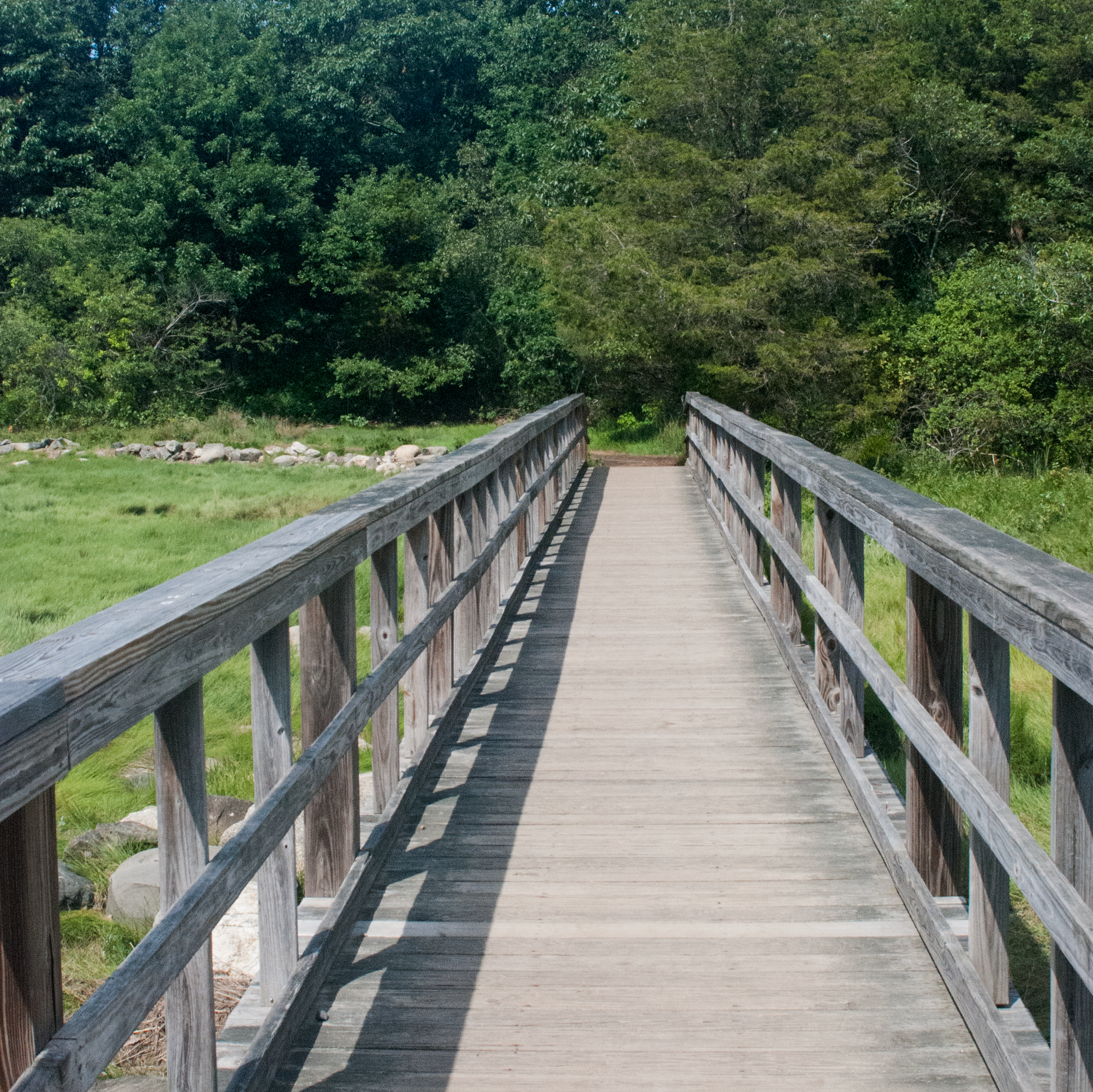 4: The Trail