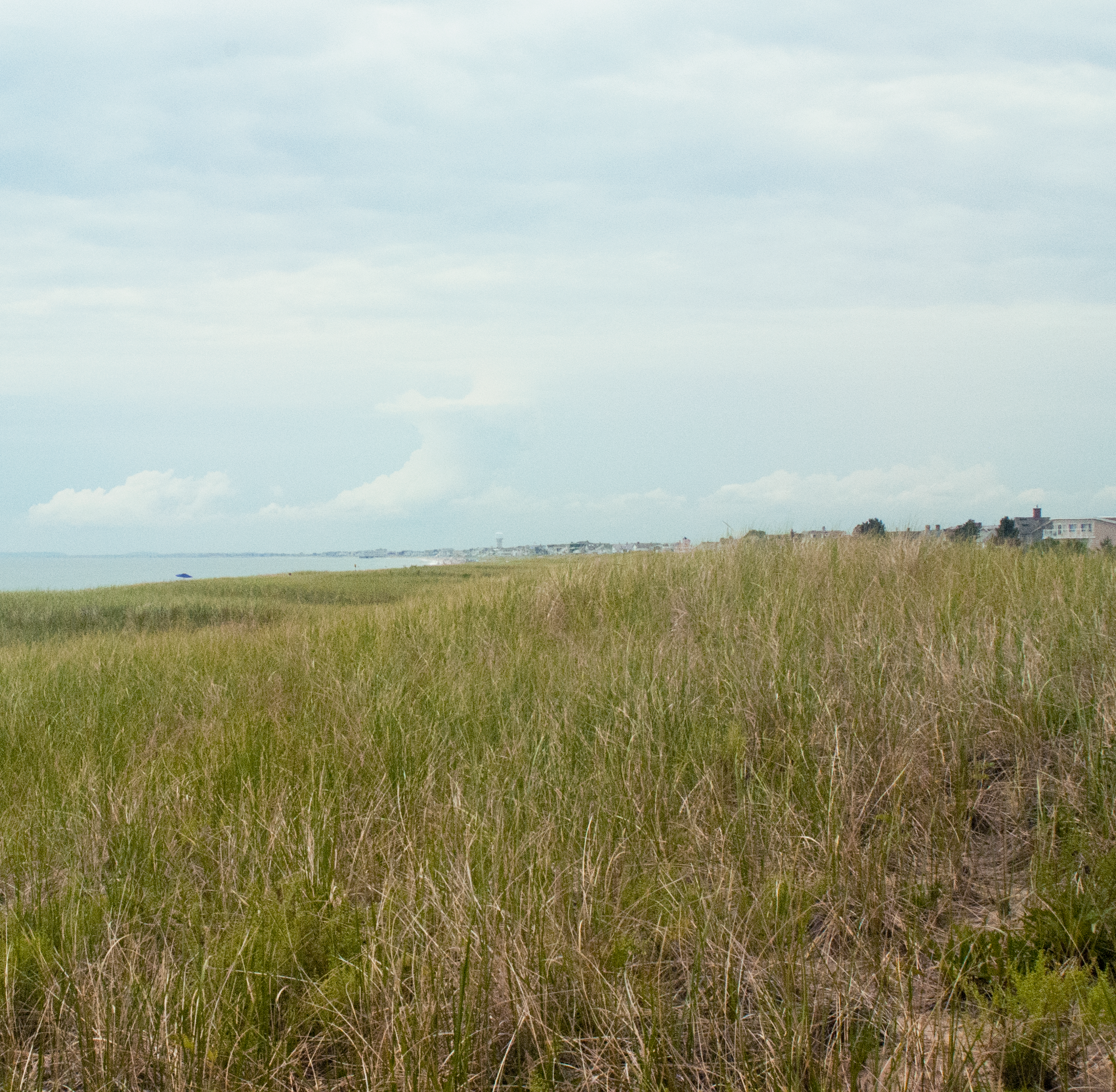 15: The Dunes