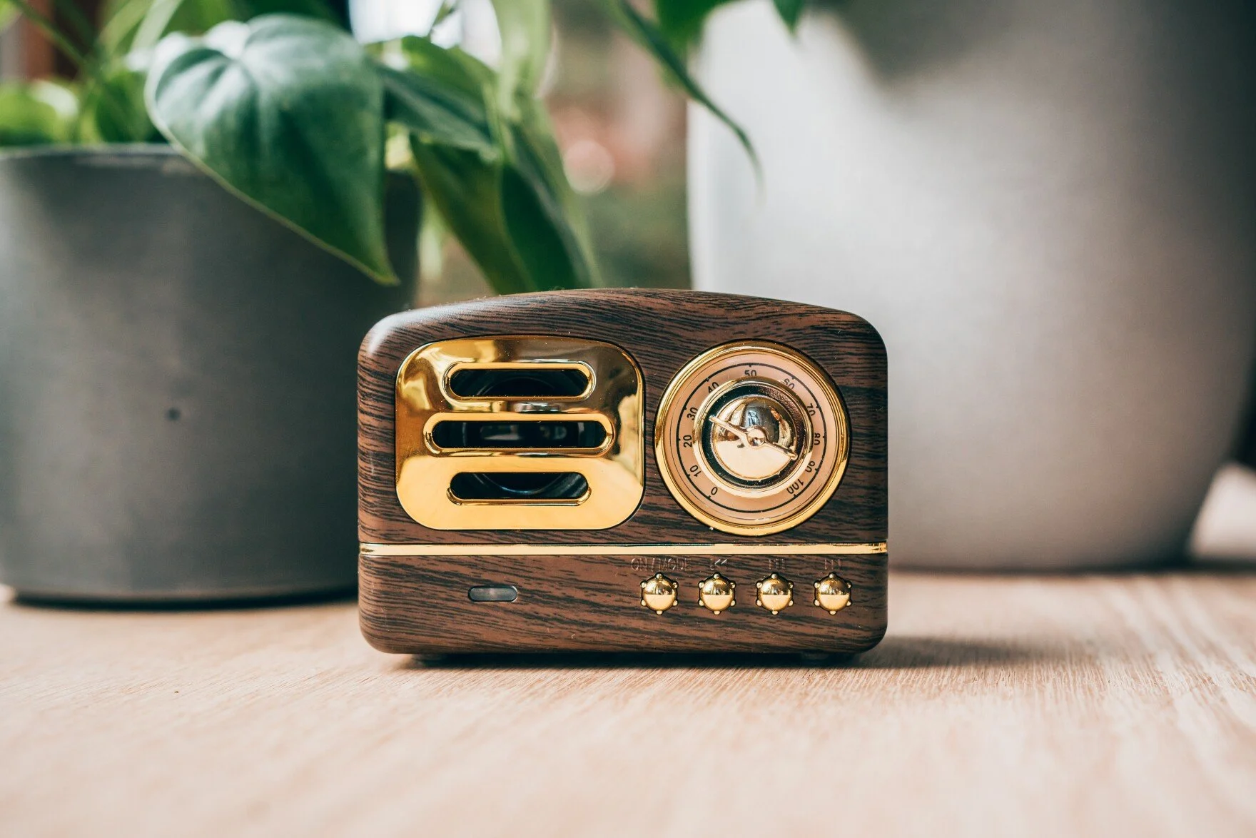 bluetooth speaker.jpg