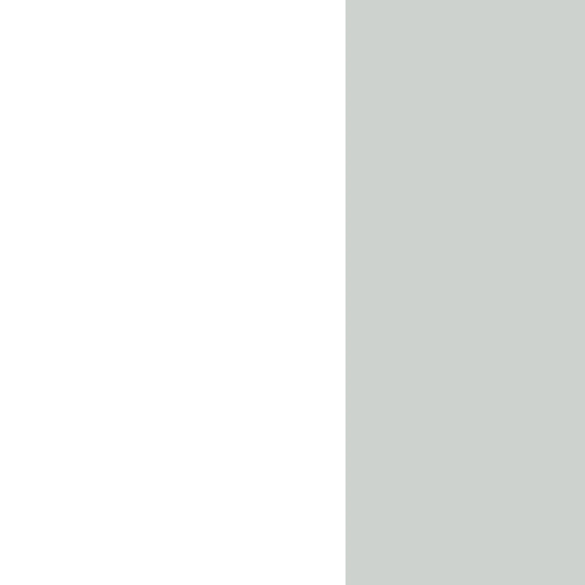 Banner Image 43.jpg