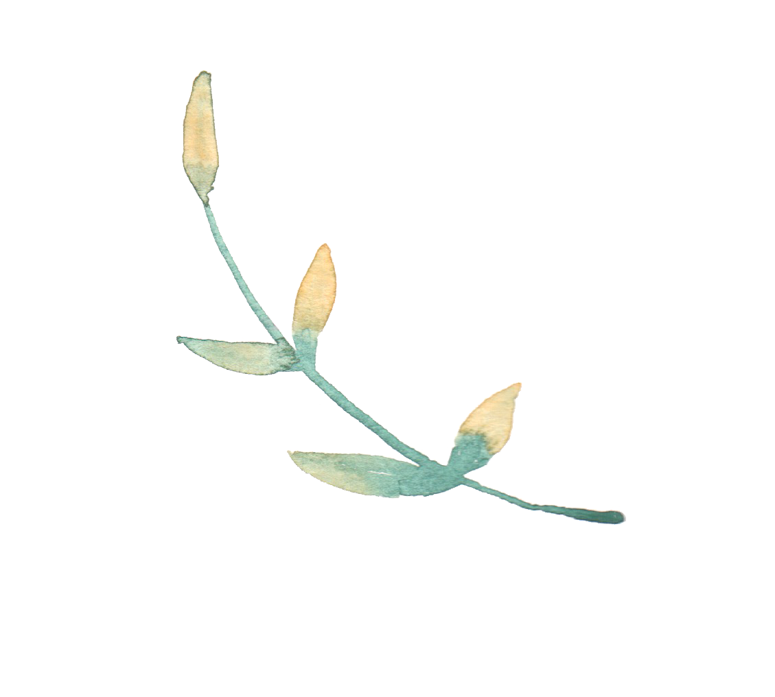 flower.png