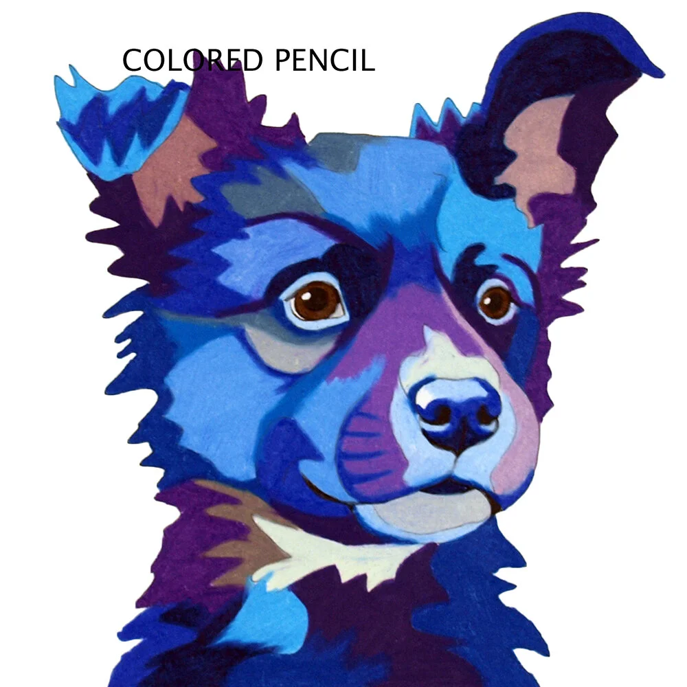 Coloredpencil-puppy-Thornton2020.jpg