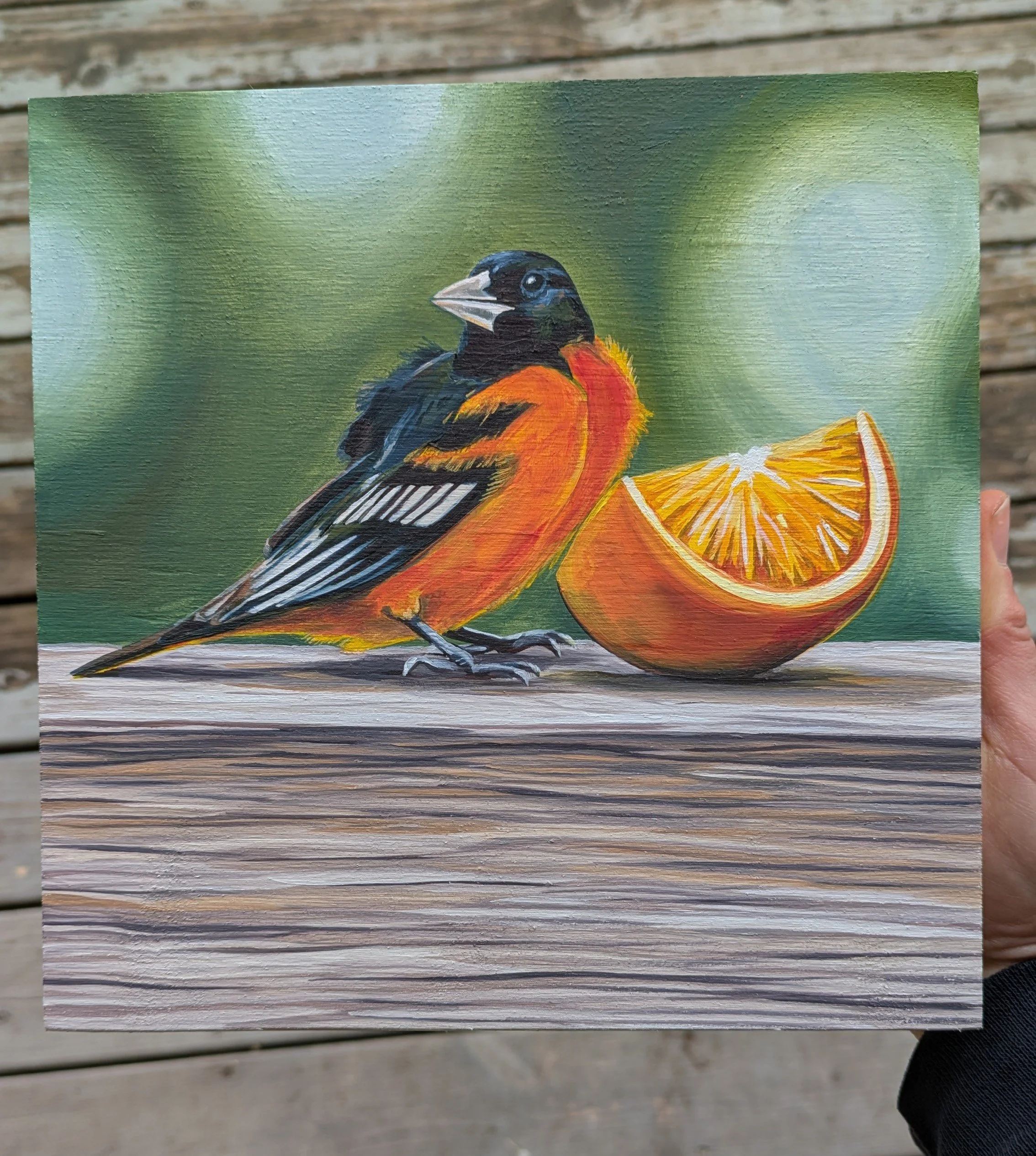 8x8 Oil Painting Oriole with an Orange