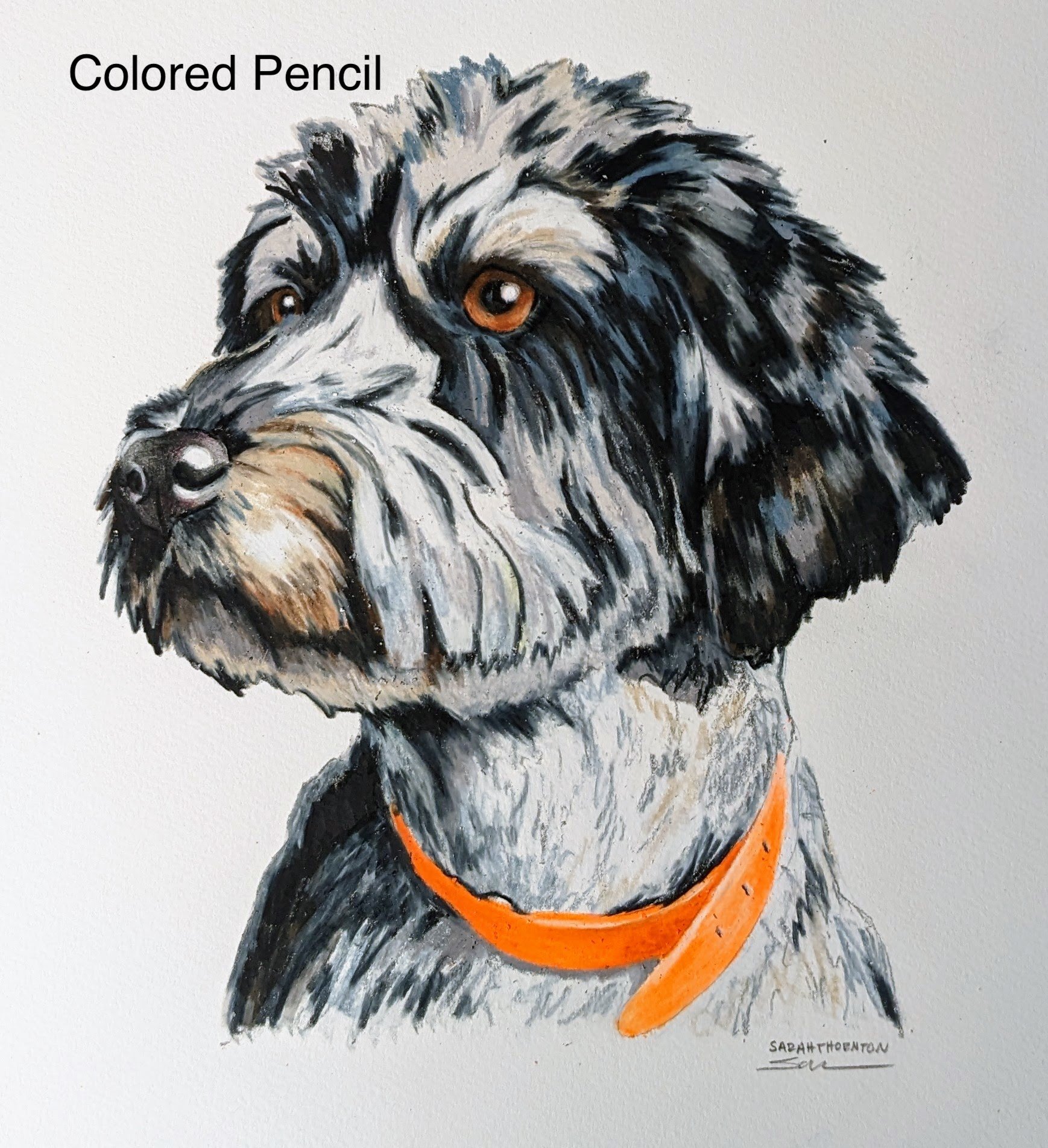 Colored pencil -Realistic- Thornton.jpg