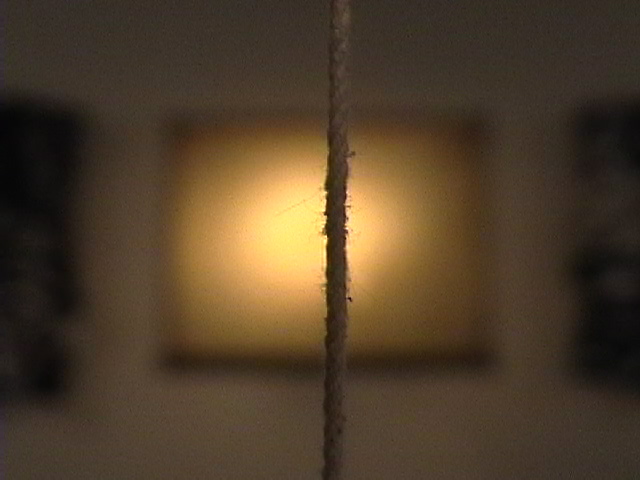 OvalImage1.jpeg