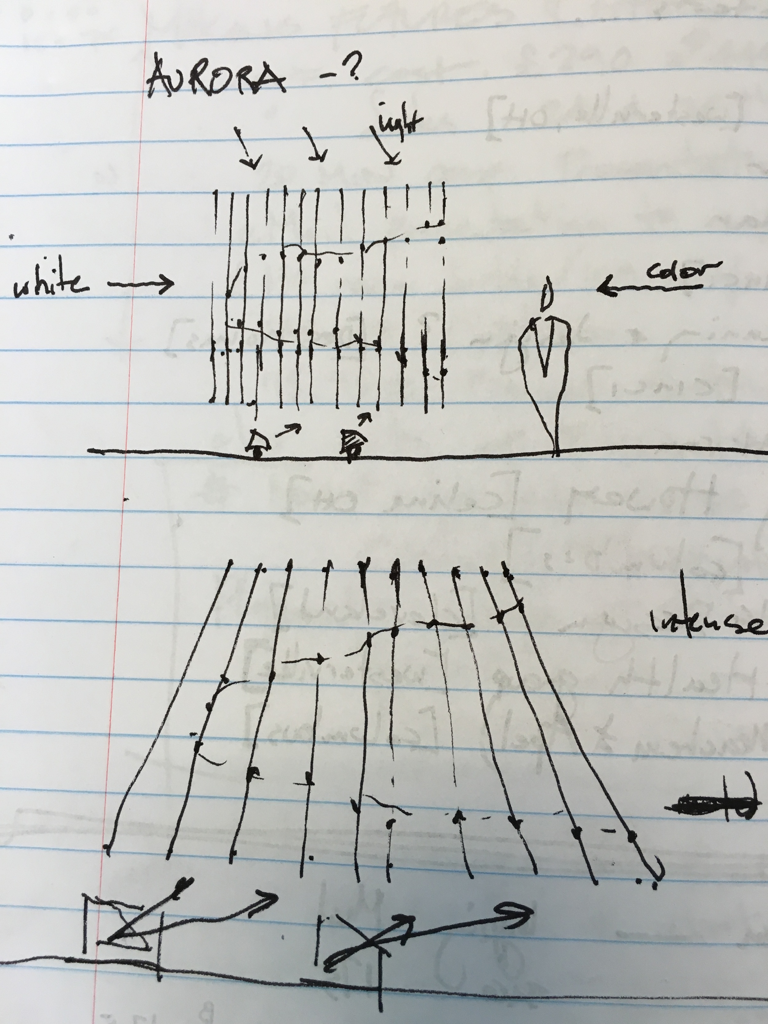 reflex|reflects|redo notes