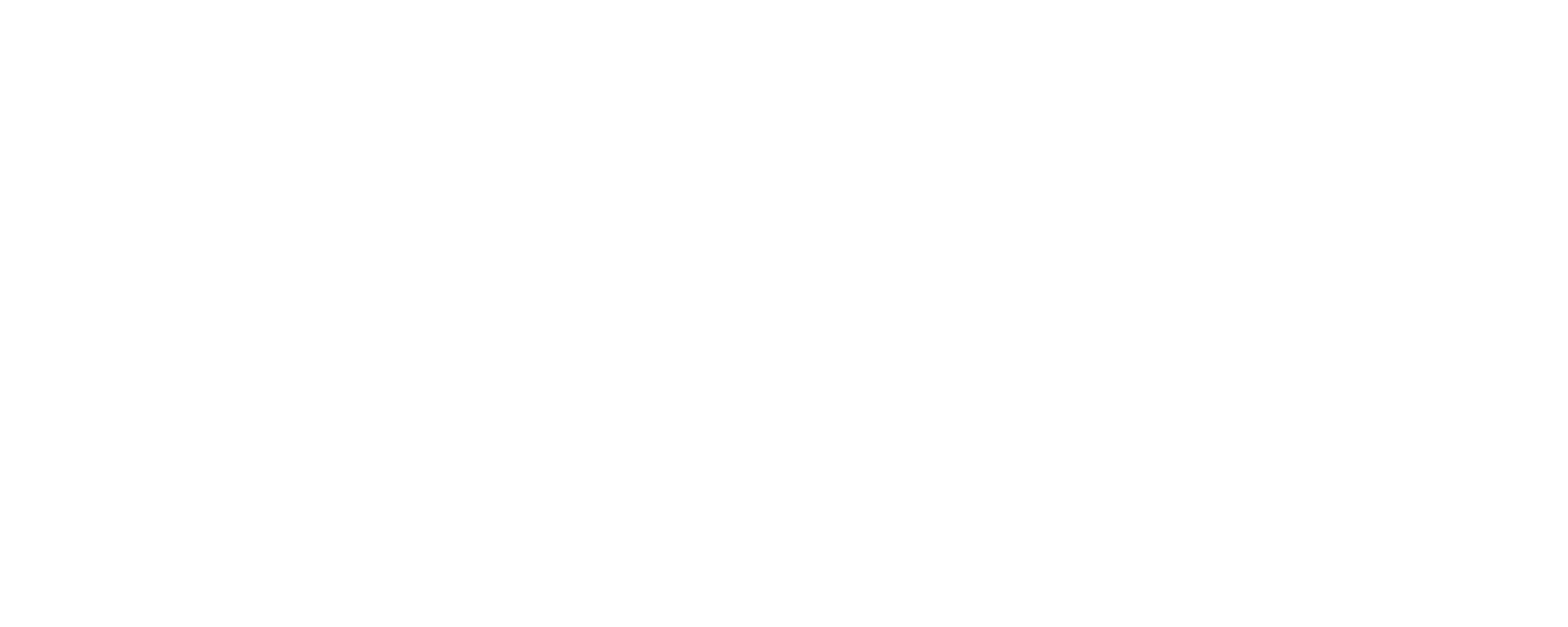 Website Banner Borderless.png