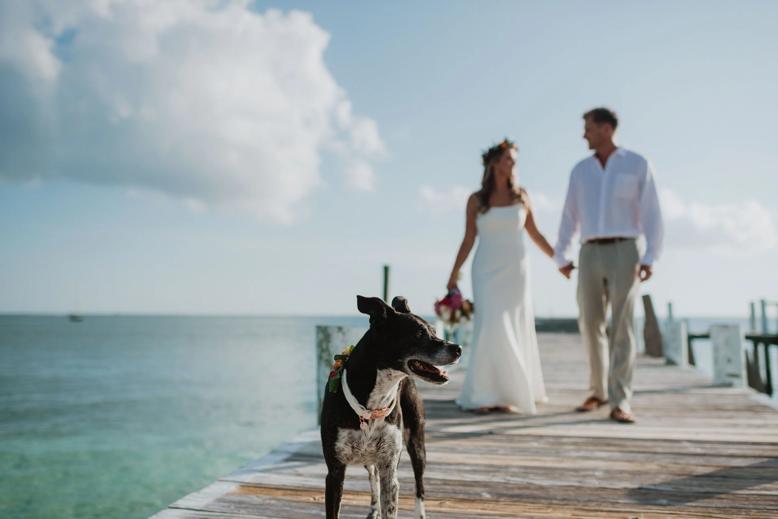 Alex-Patrick-Wedding-Abaco-Wedding-Photo-Sneak-Peek-10.JPG