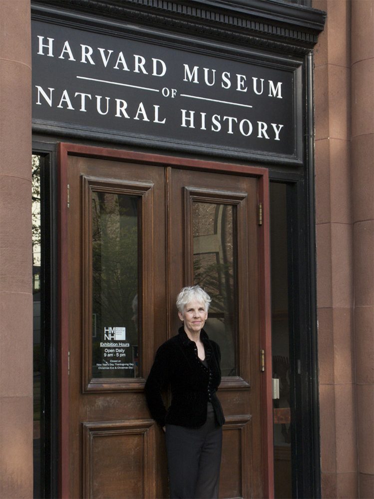 Amanda at Harvard.jpg