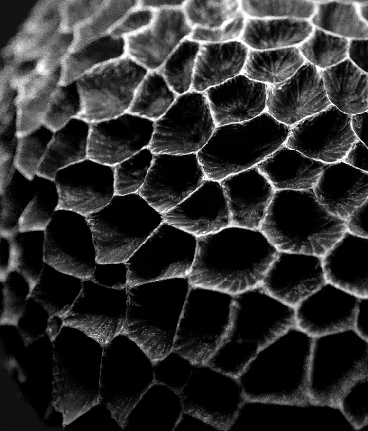 QPQ_GEO__0016_Layer+2.jpg