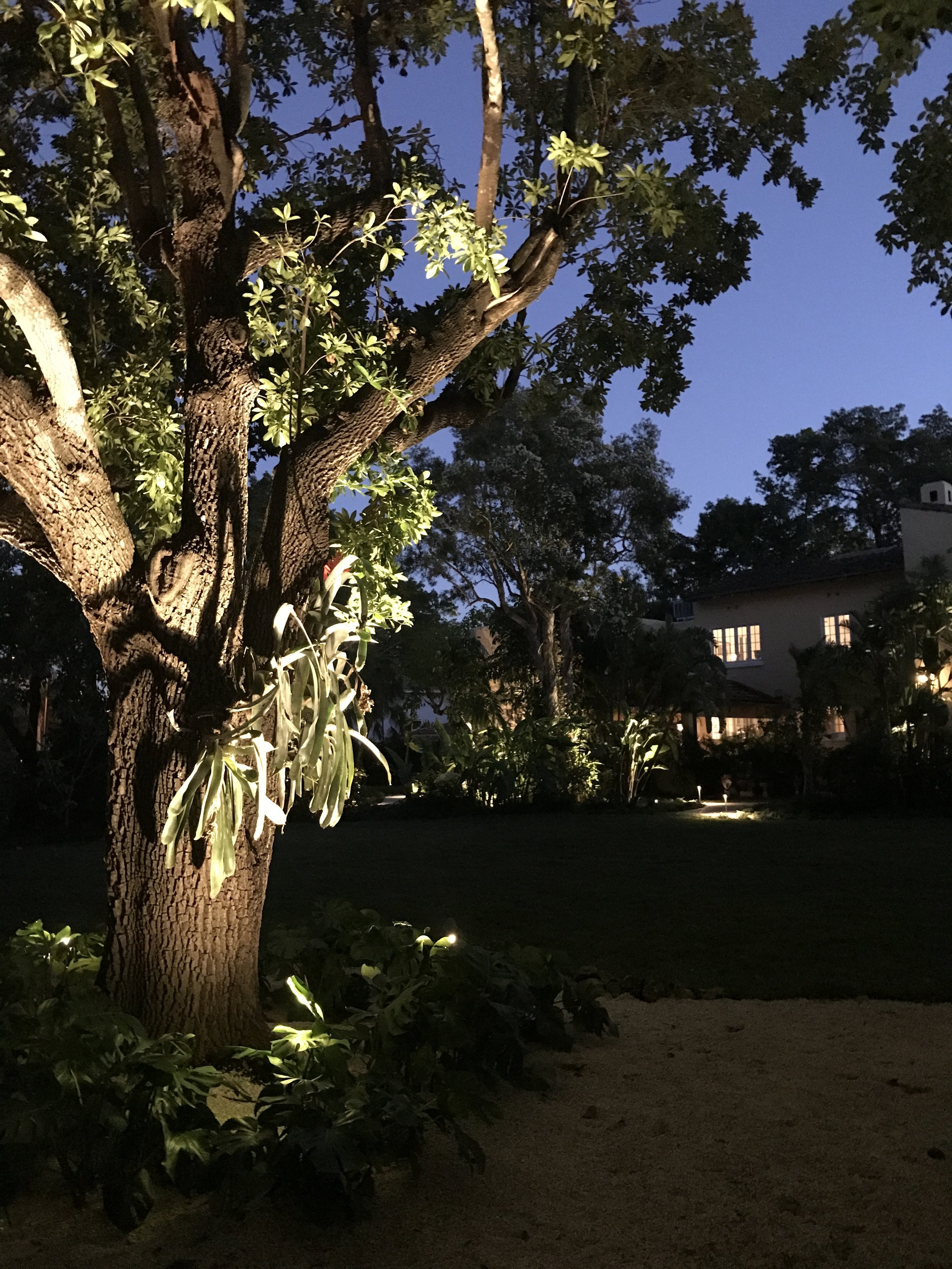 Photo Nov 26, 17 56 36.jpg