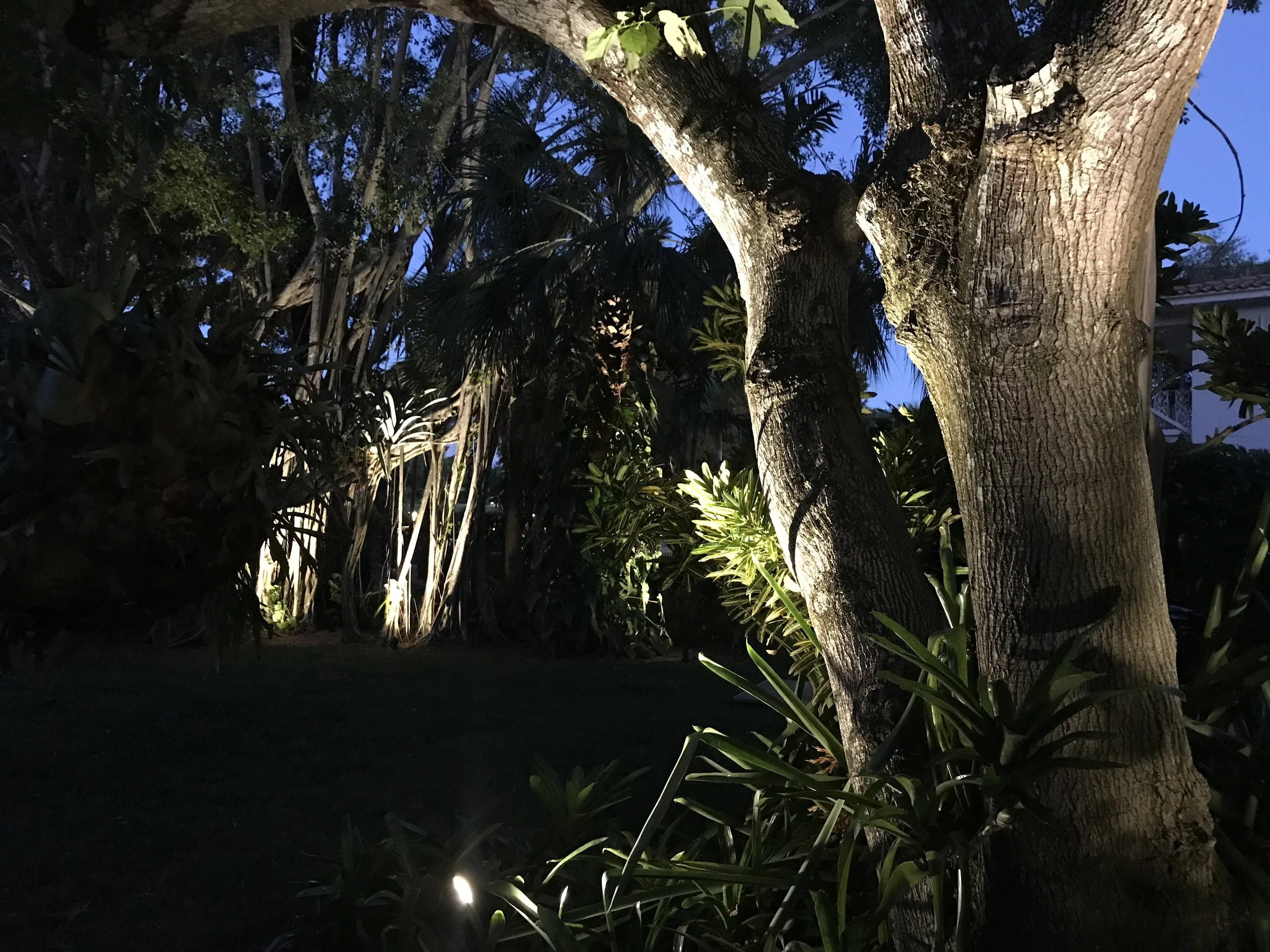 Photo Nov 26, 17 51 40.jpg