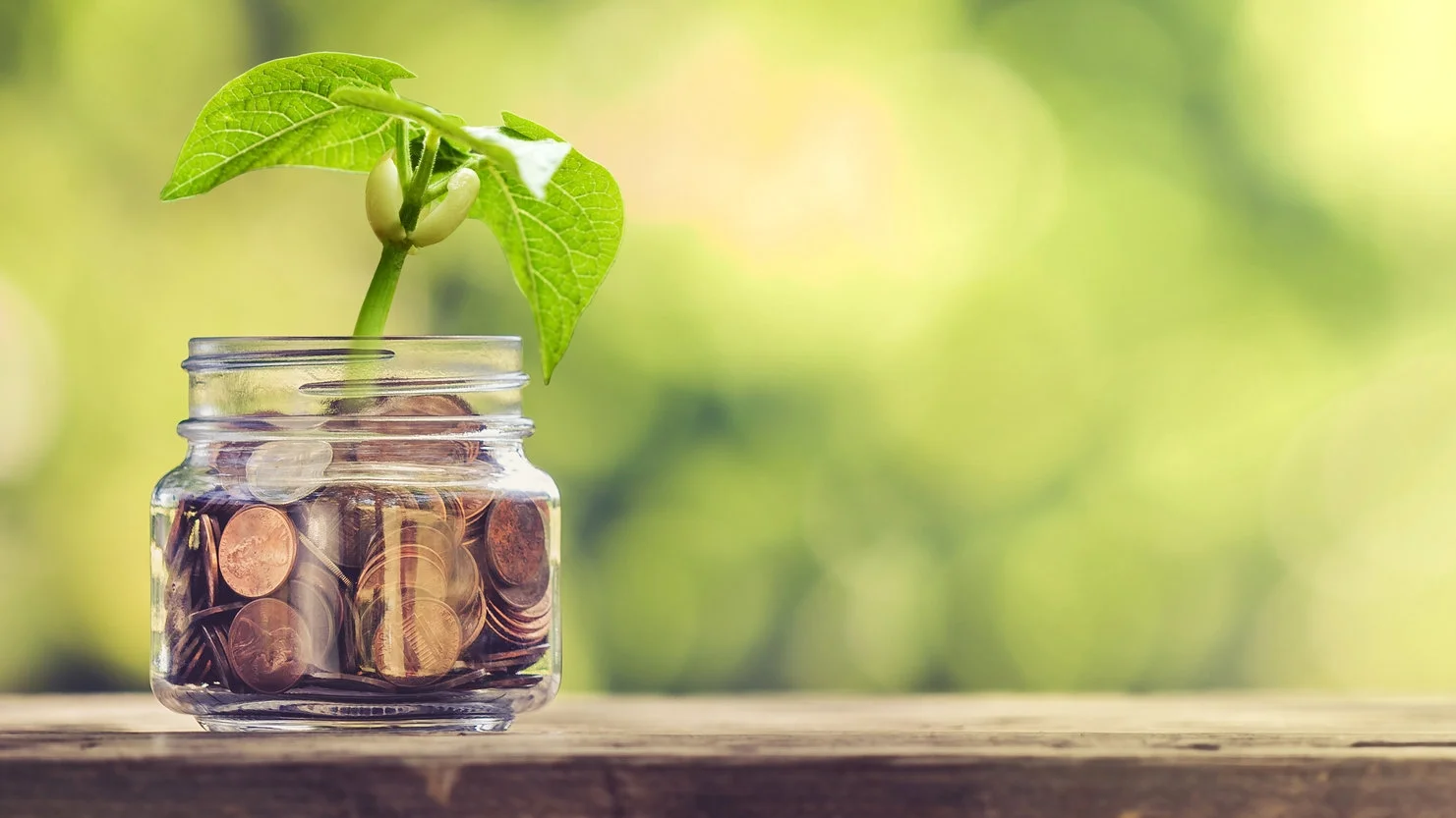 How Your Content Can Actually Make Money