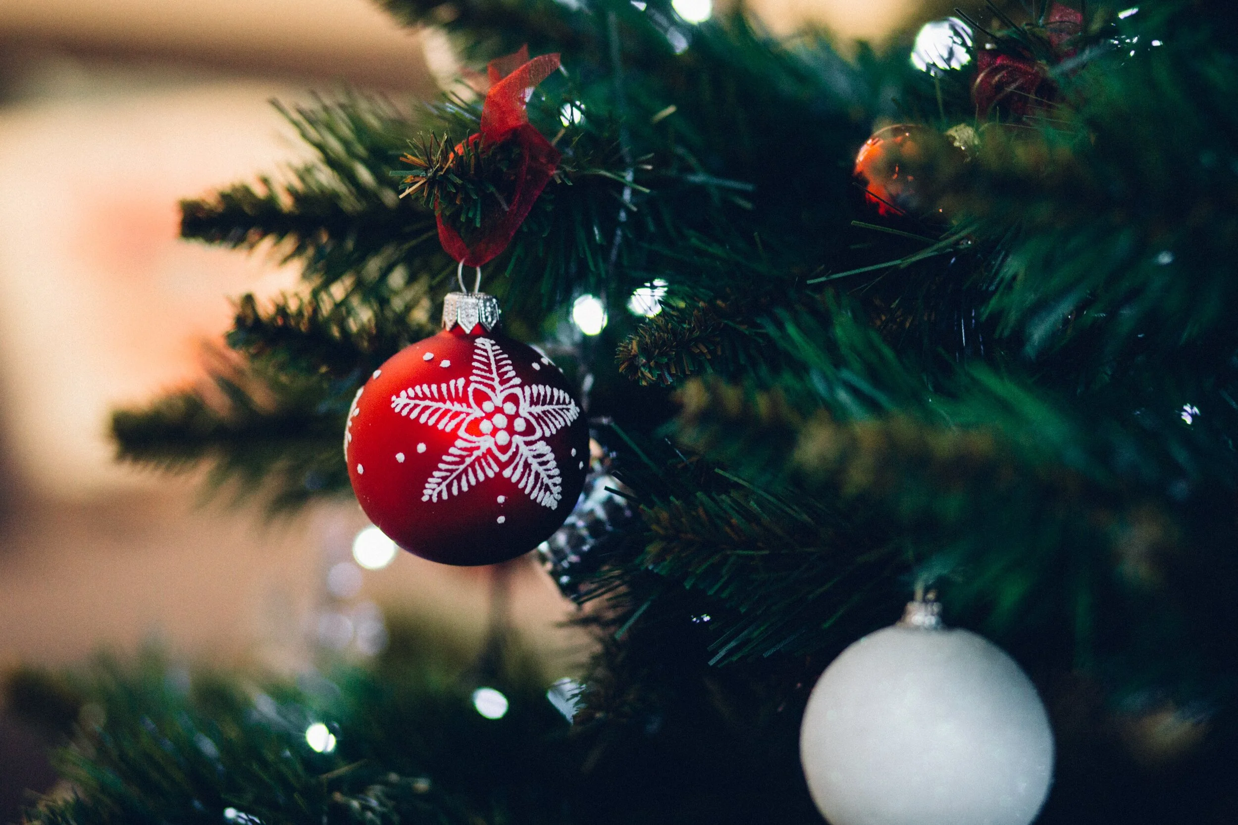 Elementary Christmas Program (Virtual)