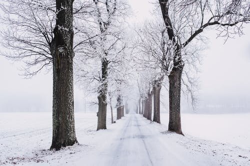 Winter Dance