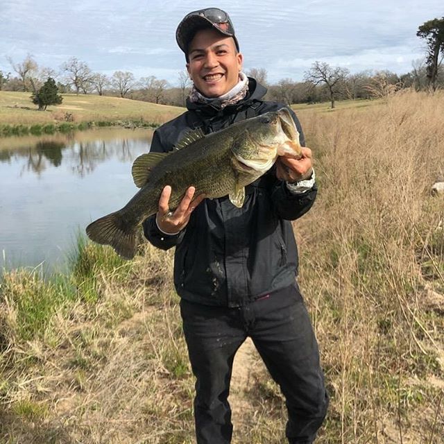 Monday's catch 2/25/19 weighed in a nice 5.11 pounds and Tuesday 2/26/19 had  a couple more nice ones. One weighed 3 pounds.  Fishing here at BK Ranch is picking up.