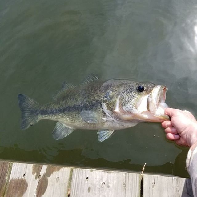 Nice catch this weekend by Matt.
