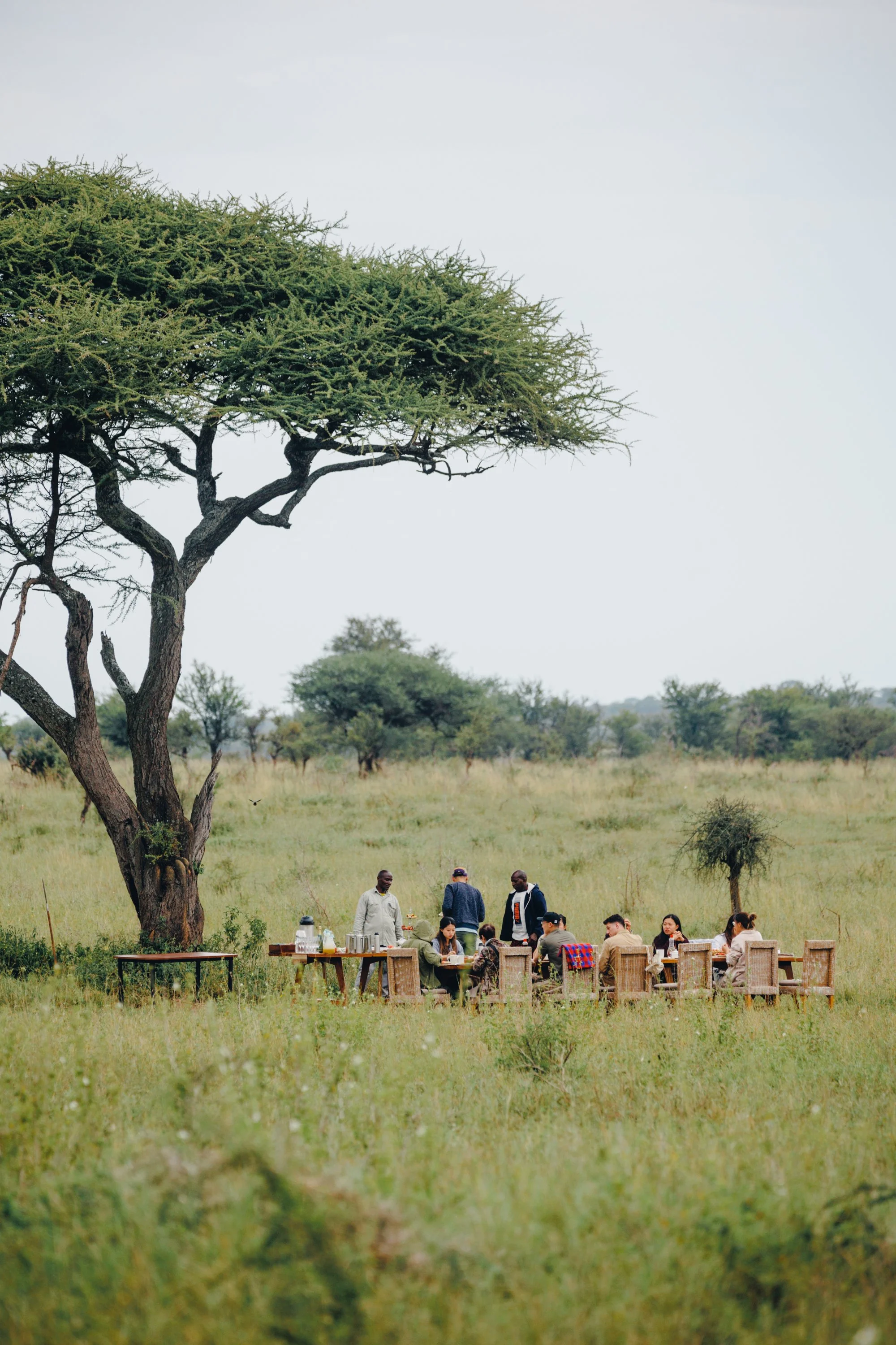 Bush Breakfast