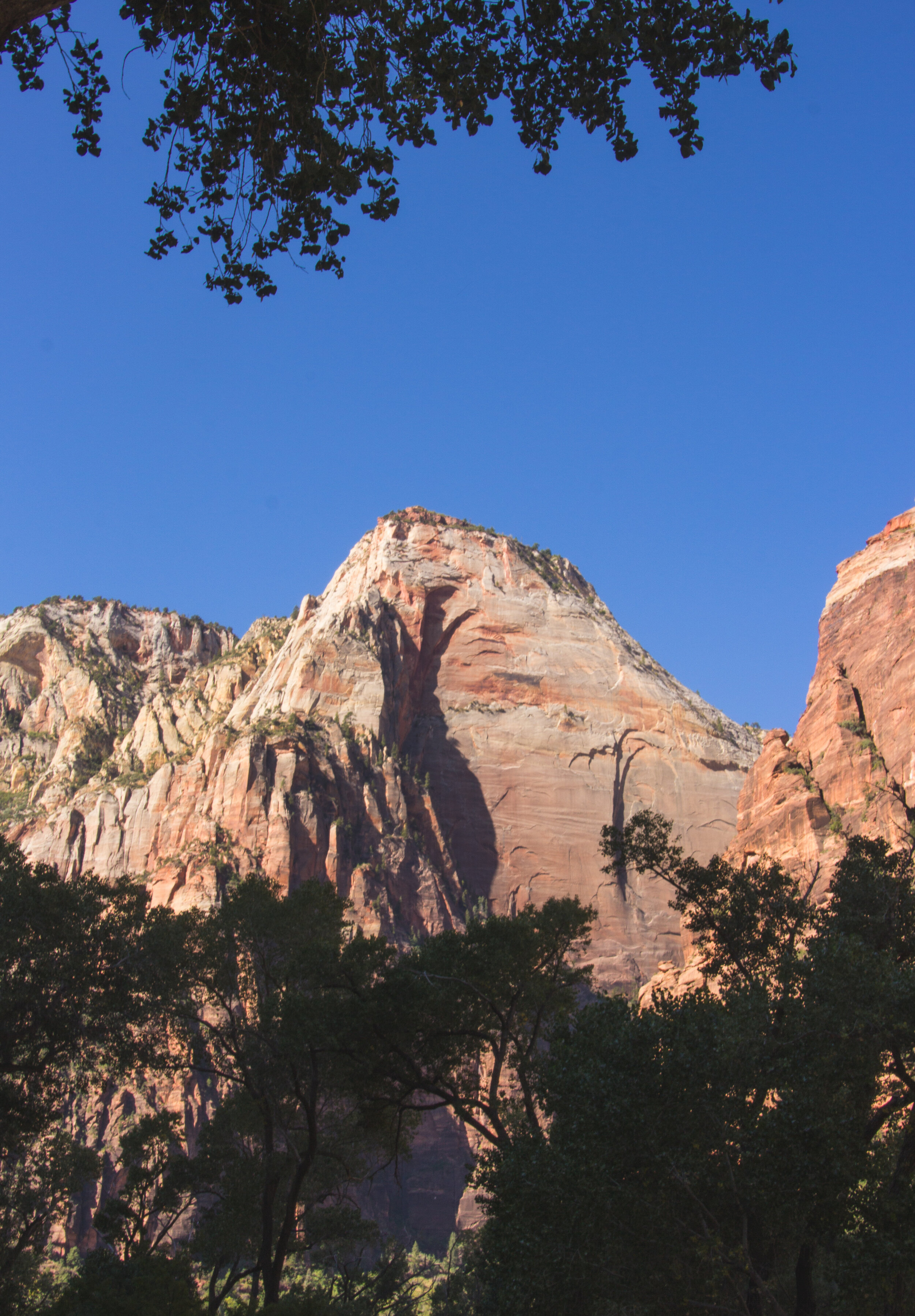 Zion-6.jpg