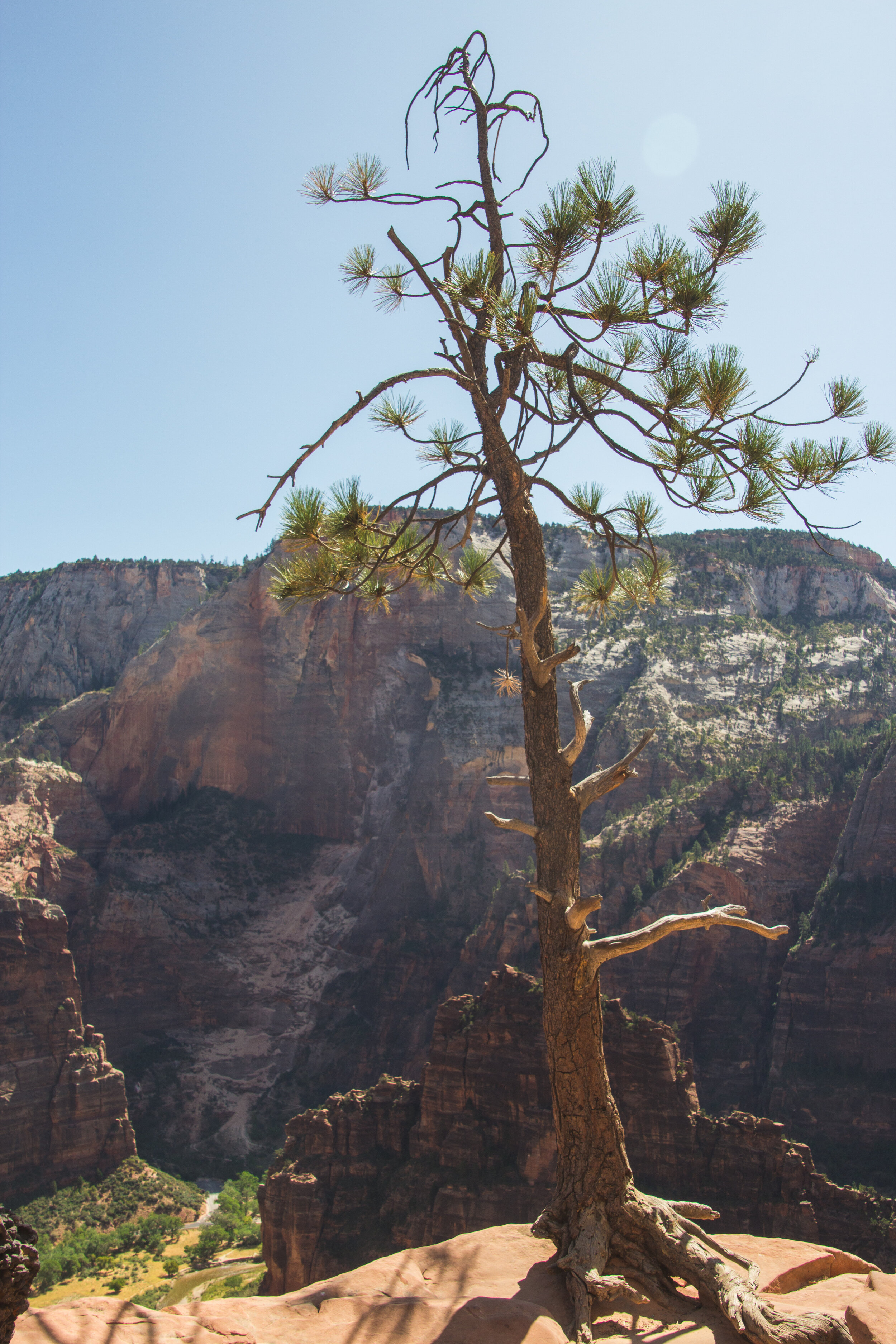 Zion-40.jpg